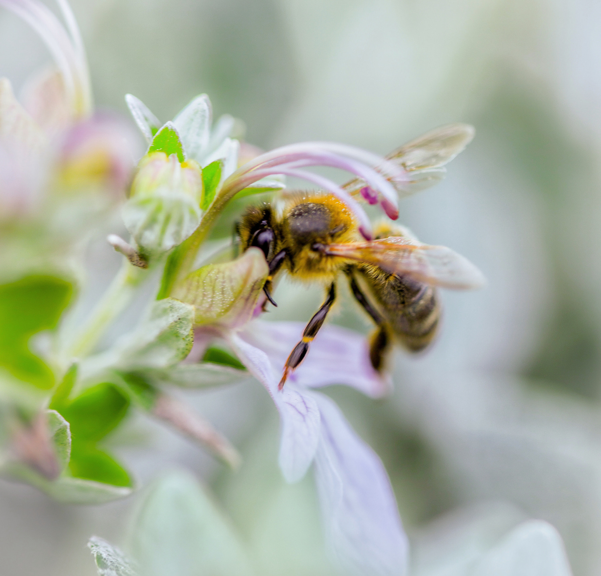 Canon EOS 5DS R sample photo