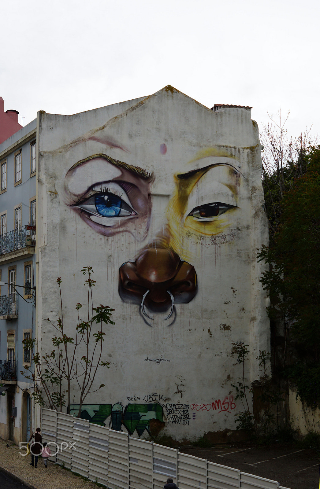 Sony SLT-A65 (SLT-A65V) + Sony DT 50mm F1.8 SAM sample photo. Lisbonne graffiti photography