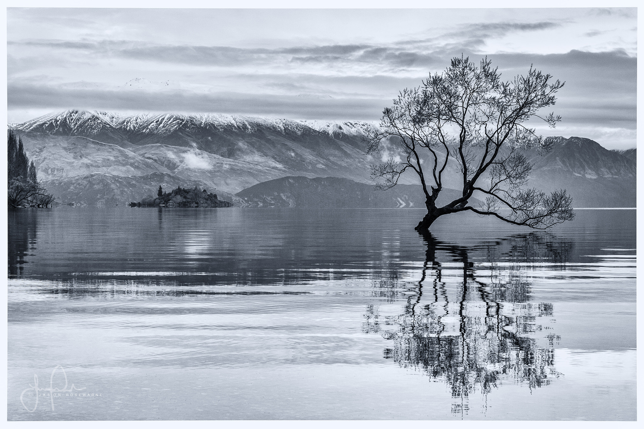 Canon EOS 50D + Canon EF 50mm F1.4 USM sample photo. 'lake wanaka tree' photography
