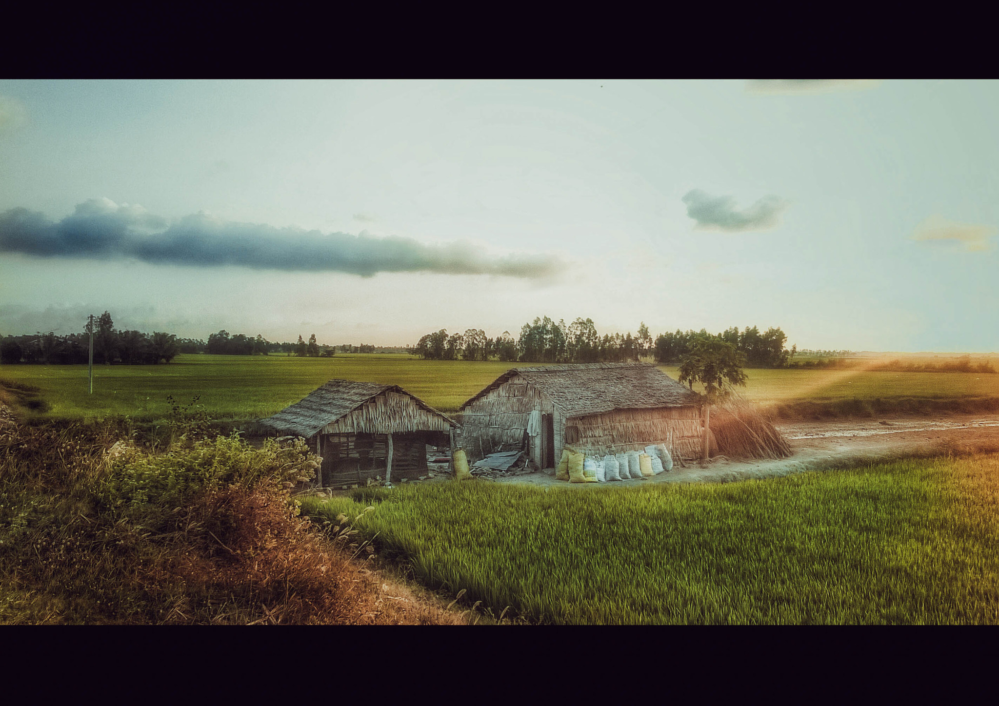 Nokia Lumia 730 Dual SIM sample photo. Ta là ta của chân tình ta là ta của bóng hình mẹ cho ta là ta của âu lo cơn mê chợt tỉnh qua đò... photography
