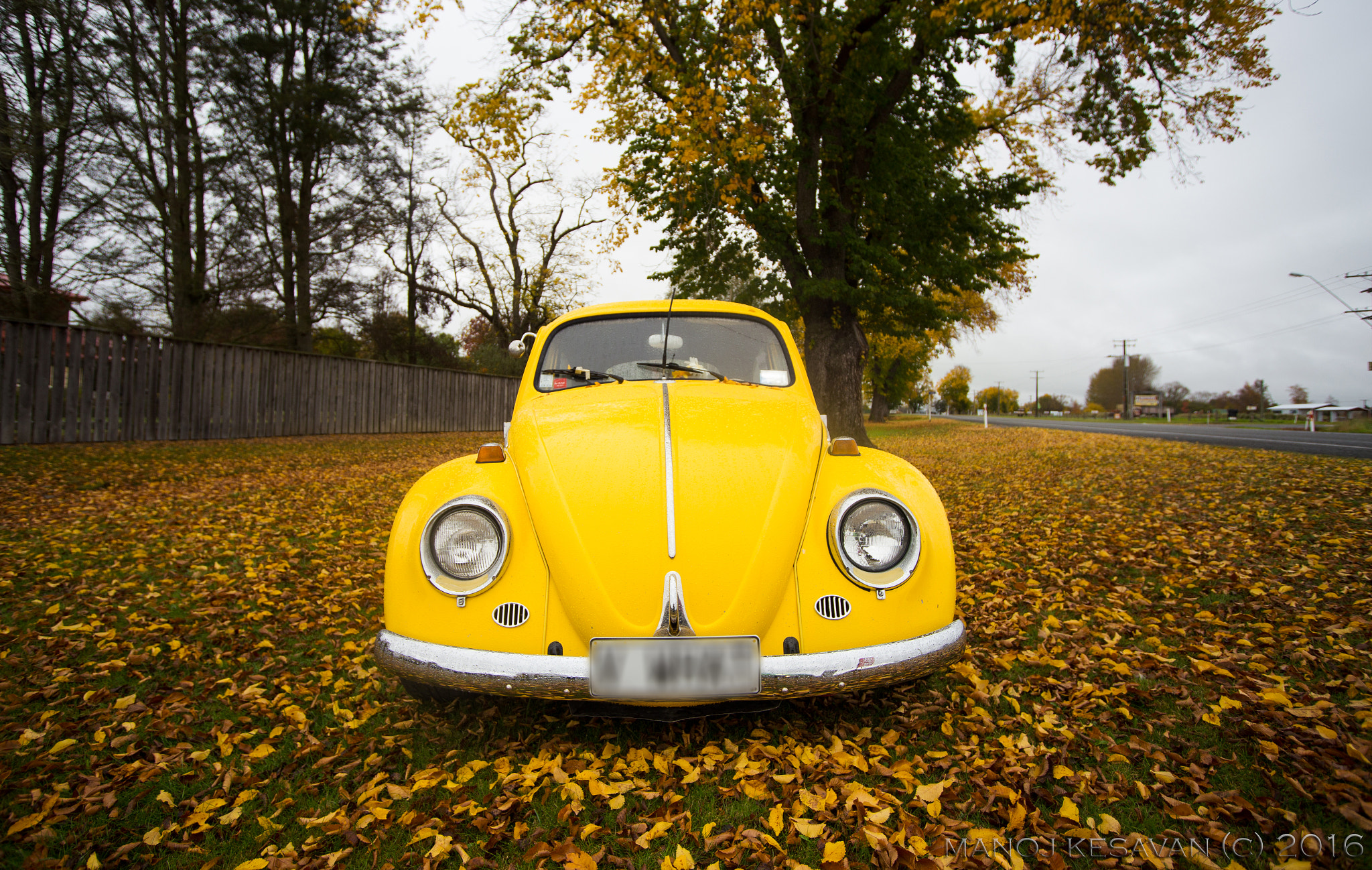 Sigma 15-30mm f/3.5-4.5 EX DG Aspherical sample photo. Miss yellow ! photography