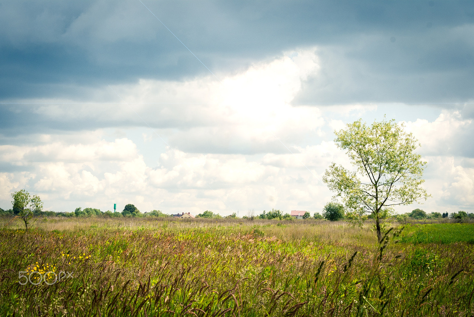 Sony Alpha DSLR-A300 sample photo. After rain photography