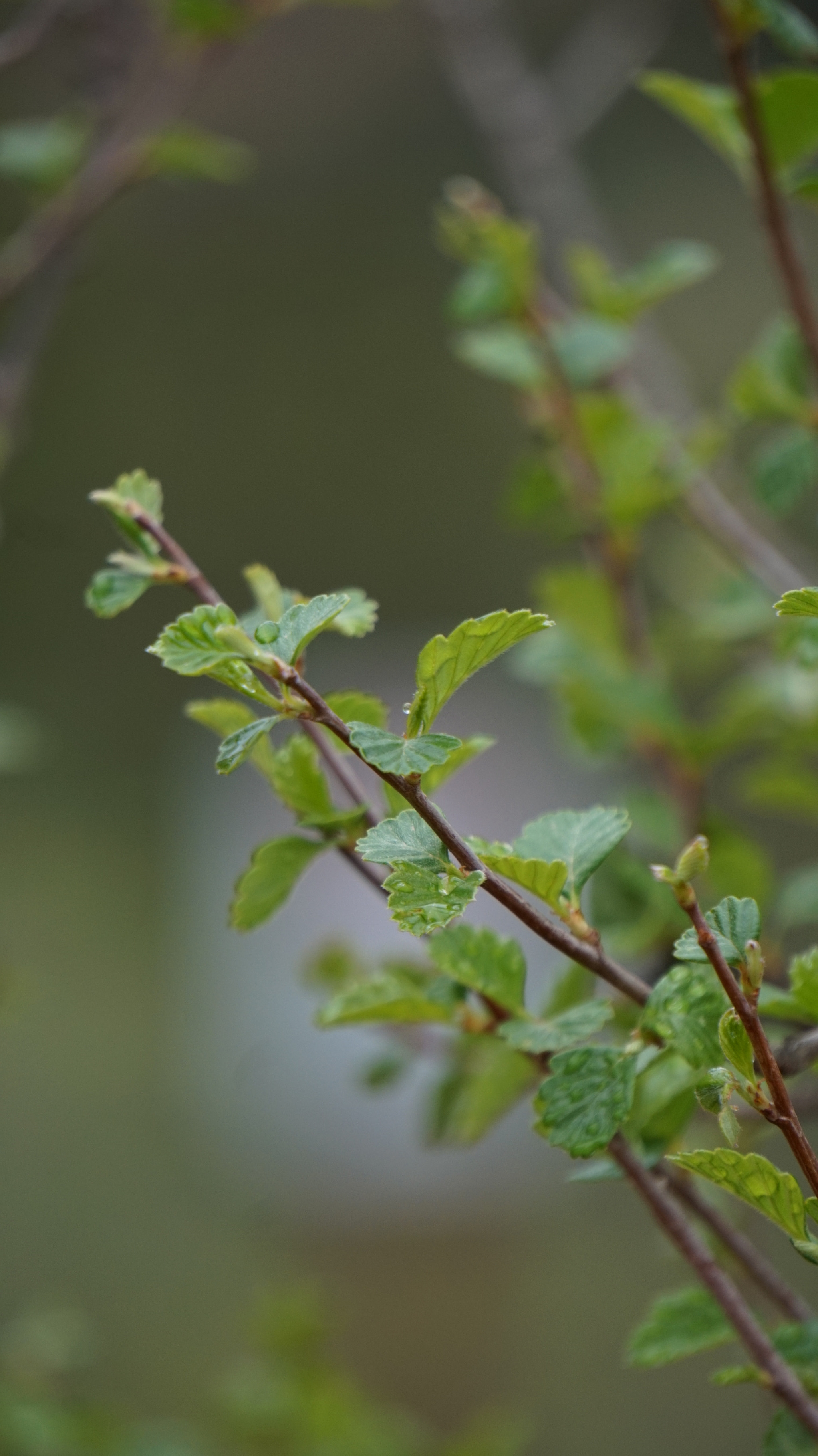 Sony E 55-210mm F4.5-6.3 OSS sample photo. This was taken in garden of the gods in colorado s ... photography