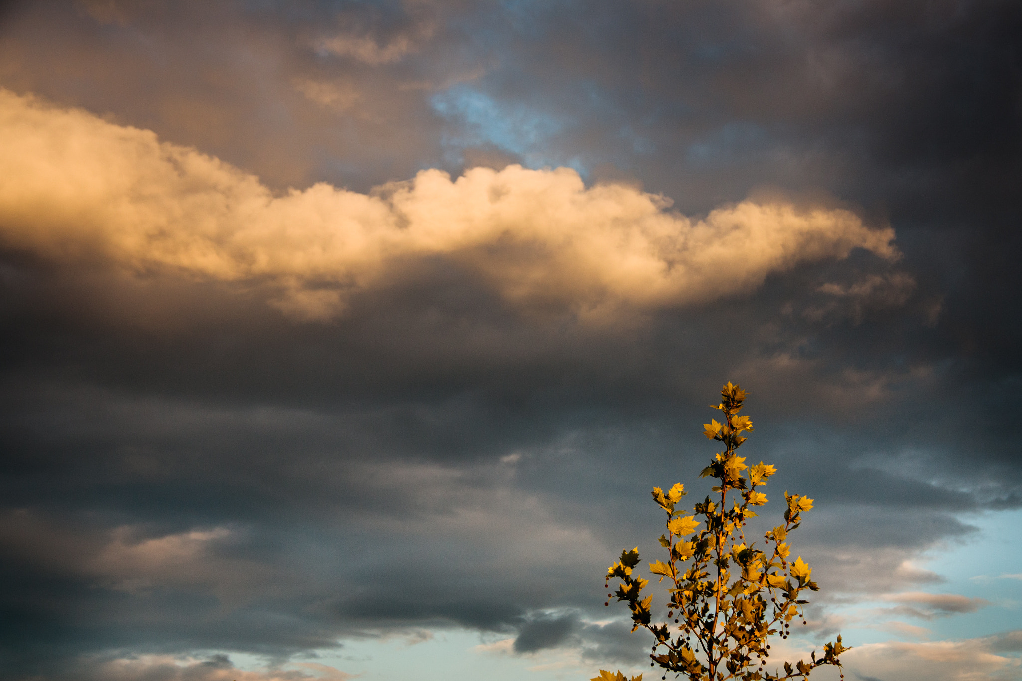 Canon EF-S 17-85mm F4-5.6 IS USM sample photo. Dramatic sky photography