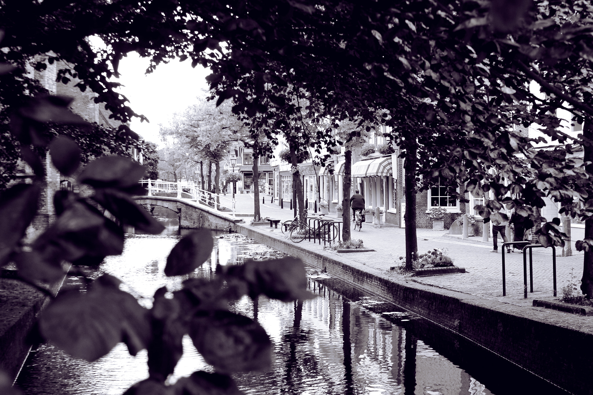 Canon EF 28-135mm F3.5-5.6 IS USM sample photo. Biking along canals in holland photography