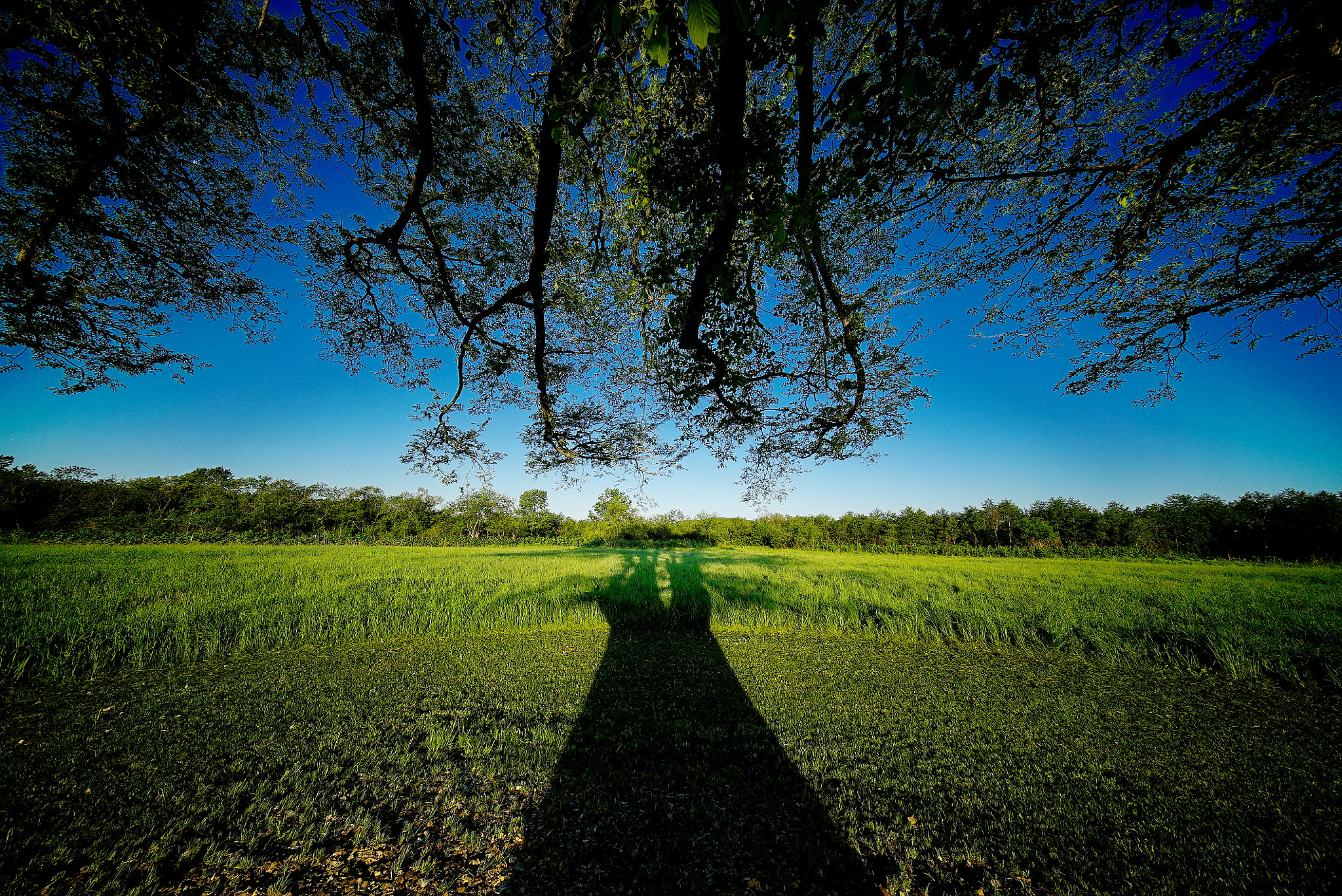 E 10mm F5.6 sample photo. Up arrow photography