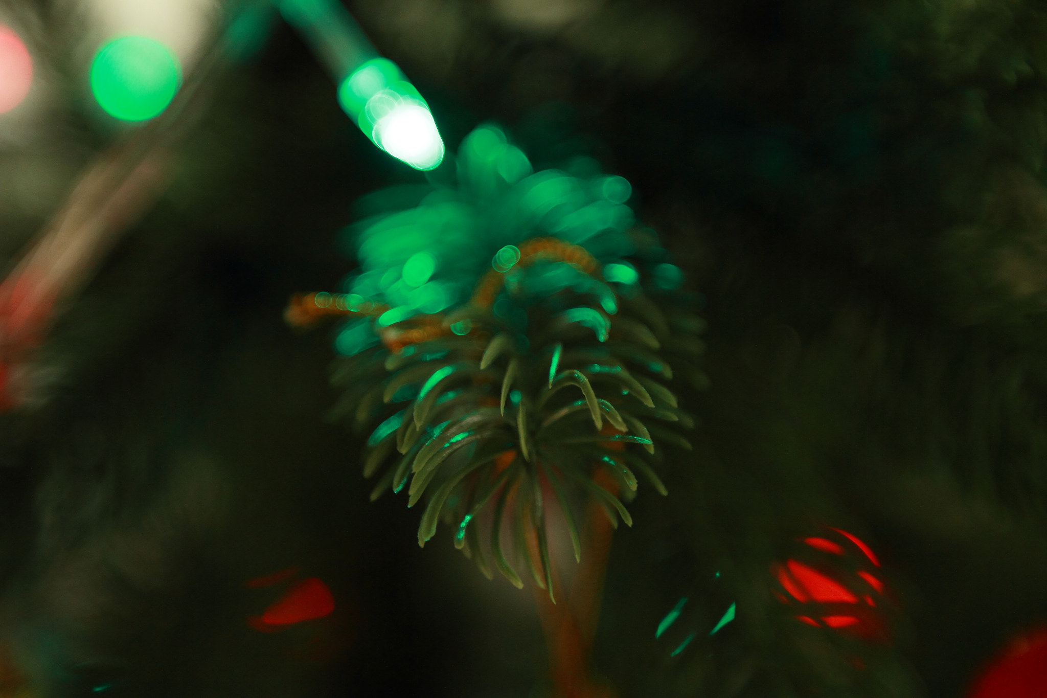 Canon EF 16-35mm F2.8L II USM sample photo. Merry christmas!!!! photography