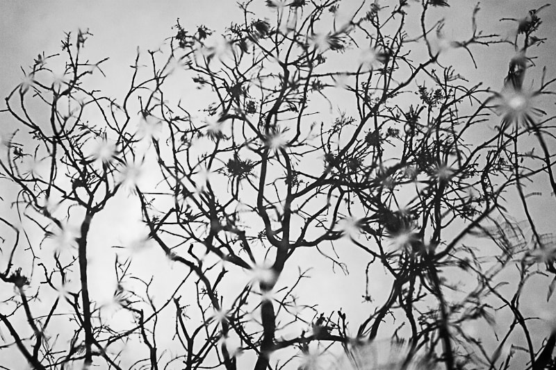 Canon EF 28-80mm f/3.5-5.6 sample photo. Abstract reflection photography