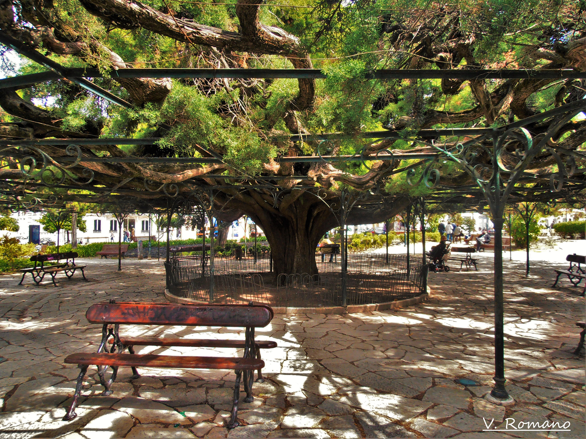 Olympus VR310,D720 sample photo. Praça do príncipe real photography