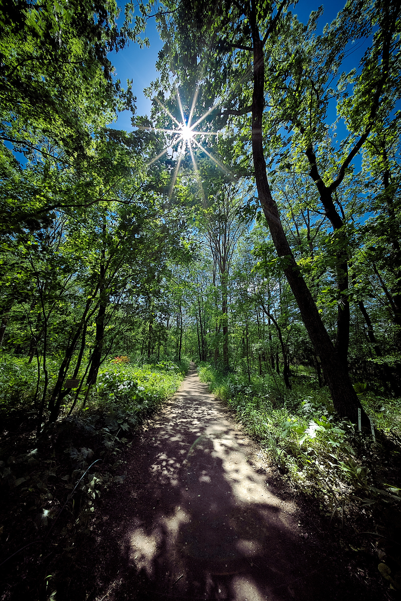 E 10mm F5.6 sample photo. Country road photography