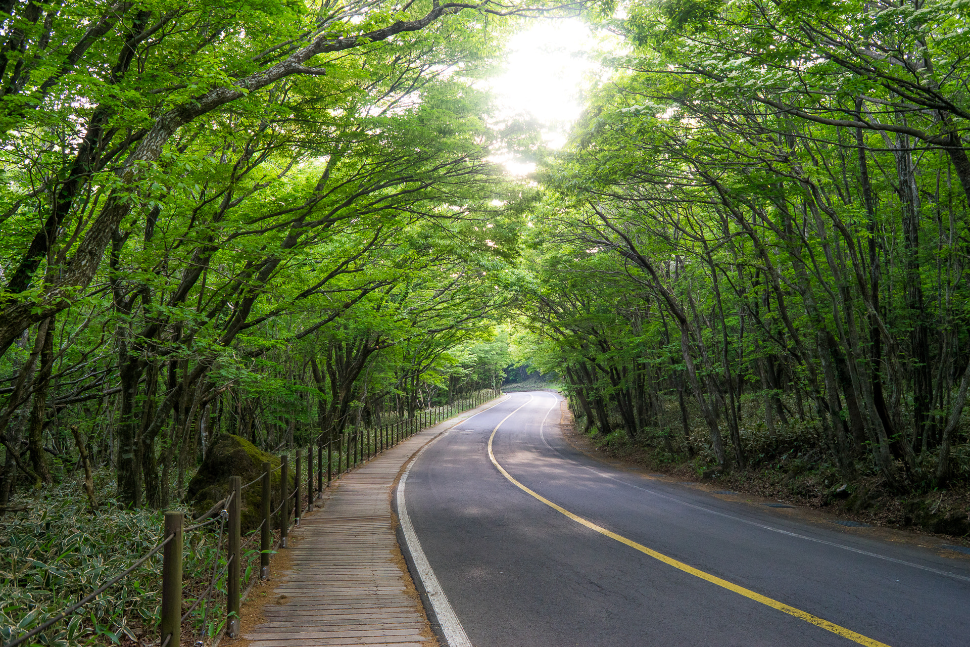 Sony a7 + Sony 28mm F2.8 sample photo. Jeju road photography