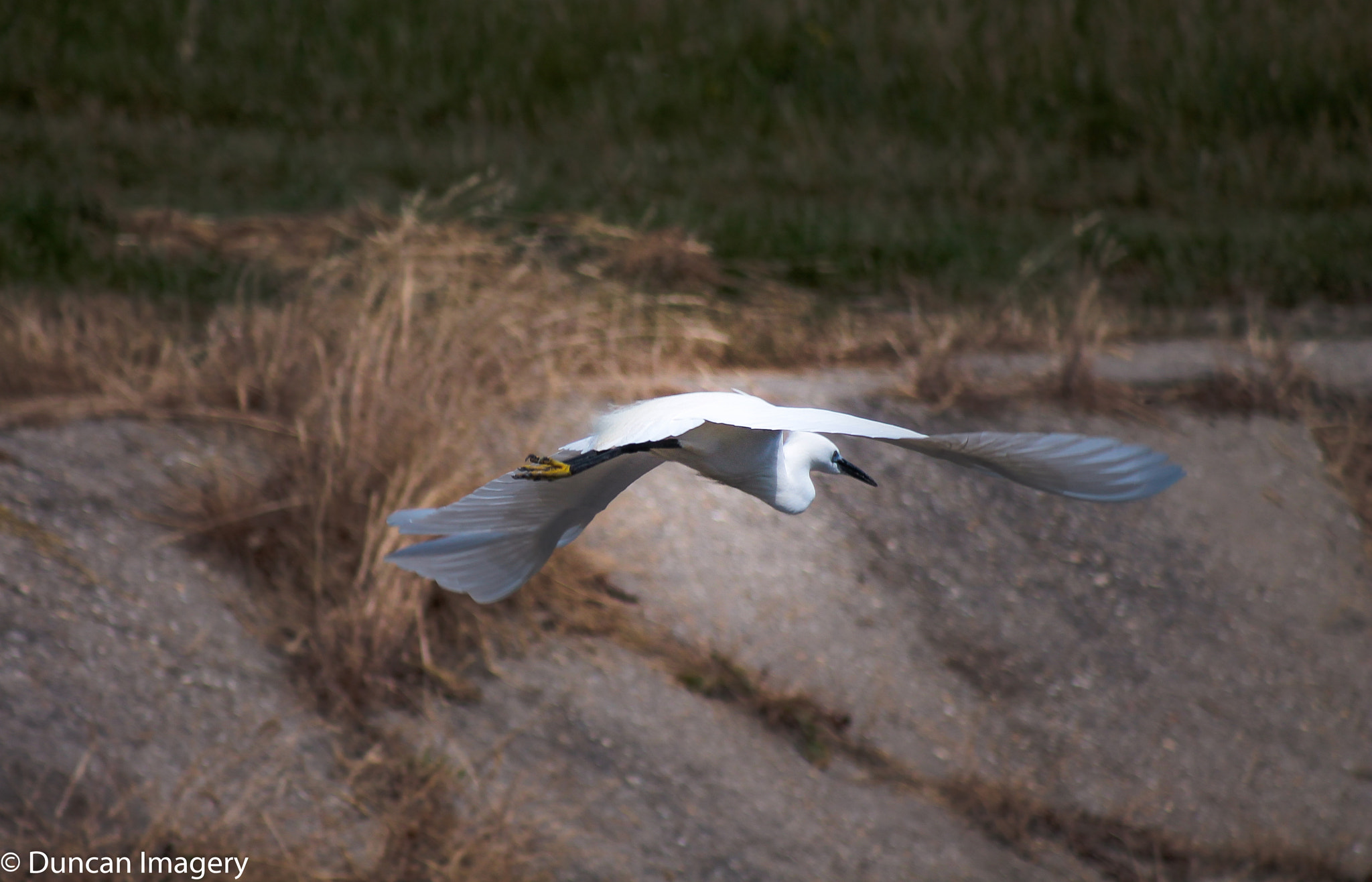Canon EF 80-200mm F4.5-5.6 II sample photo. Dun_2605.jpg photography