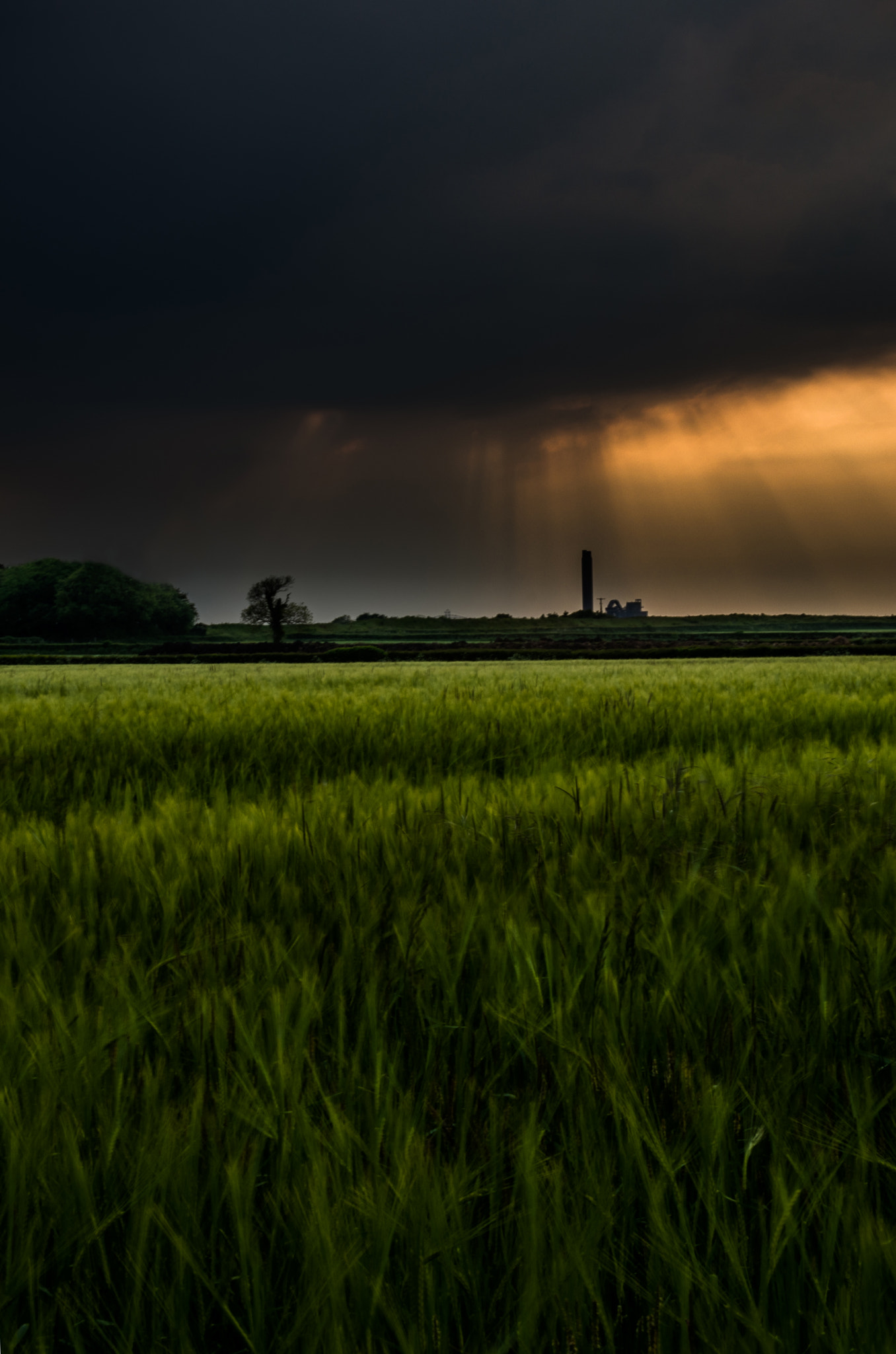Pentax smc DA* 16-50mm F2.8 ED AL (IF) SDM sample photo. Rhoose photography