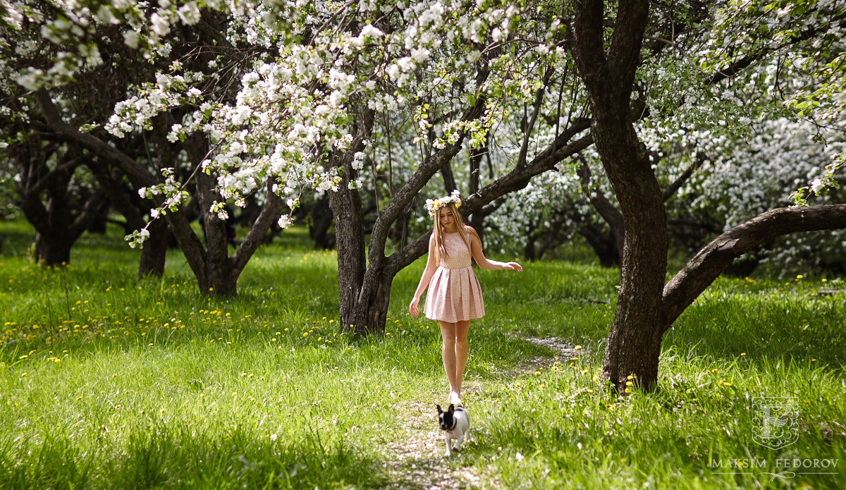 Canon EF 100mm F2.0 USM sample photo. Diana photography