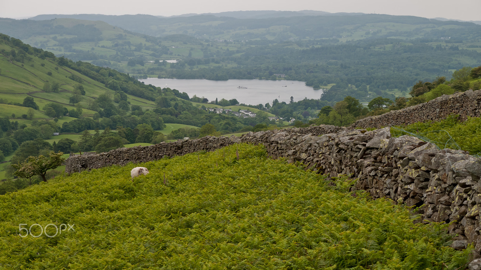 Panasonic Lumix DMC-GF1 sample photo. Lake windermere uk. photography