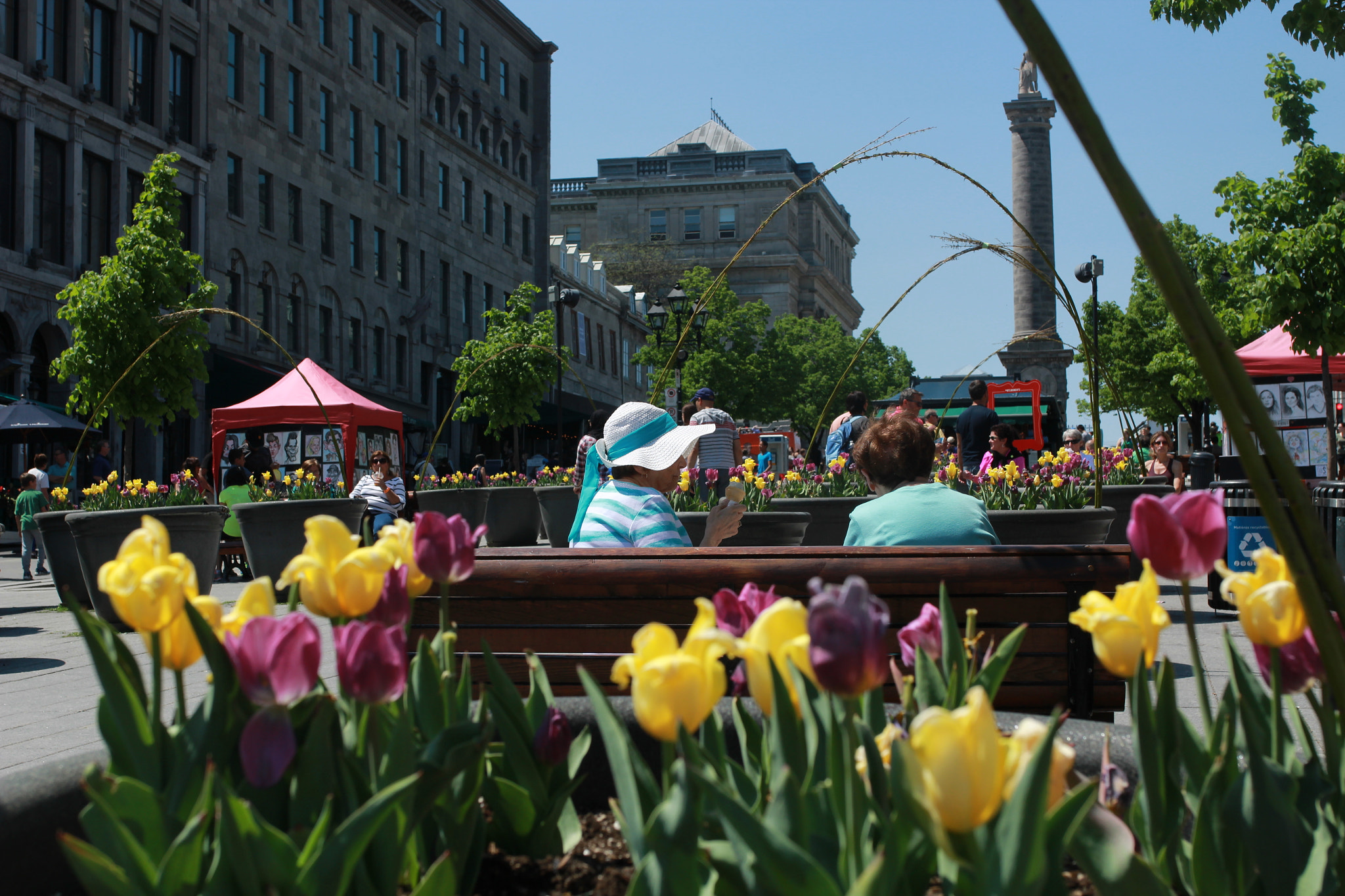 Sigma 35mm F1.4 DG HSM Art sample photo. Flowery place jacques-cartier photography