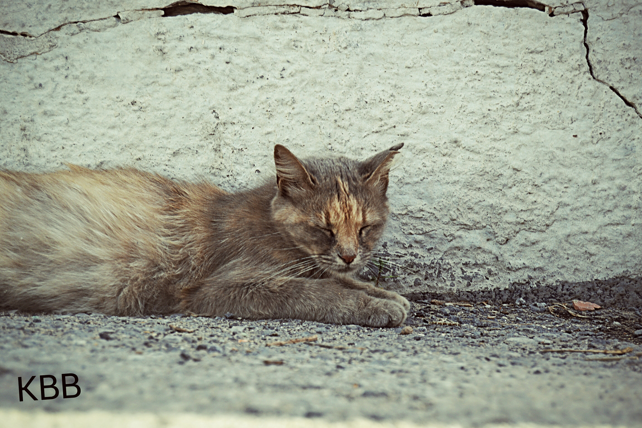 Nikon D3100 sample photo. Psychographe photography