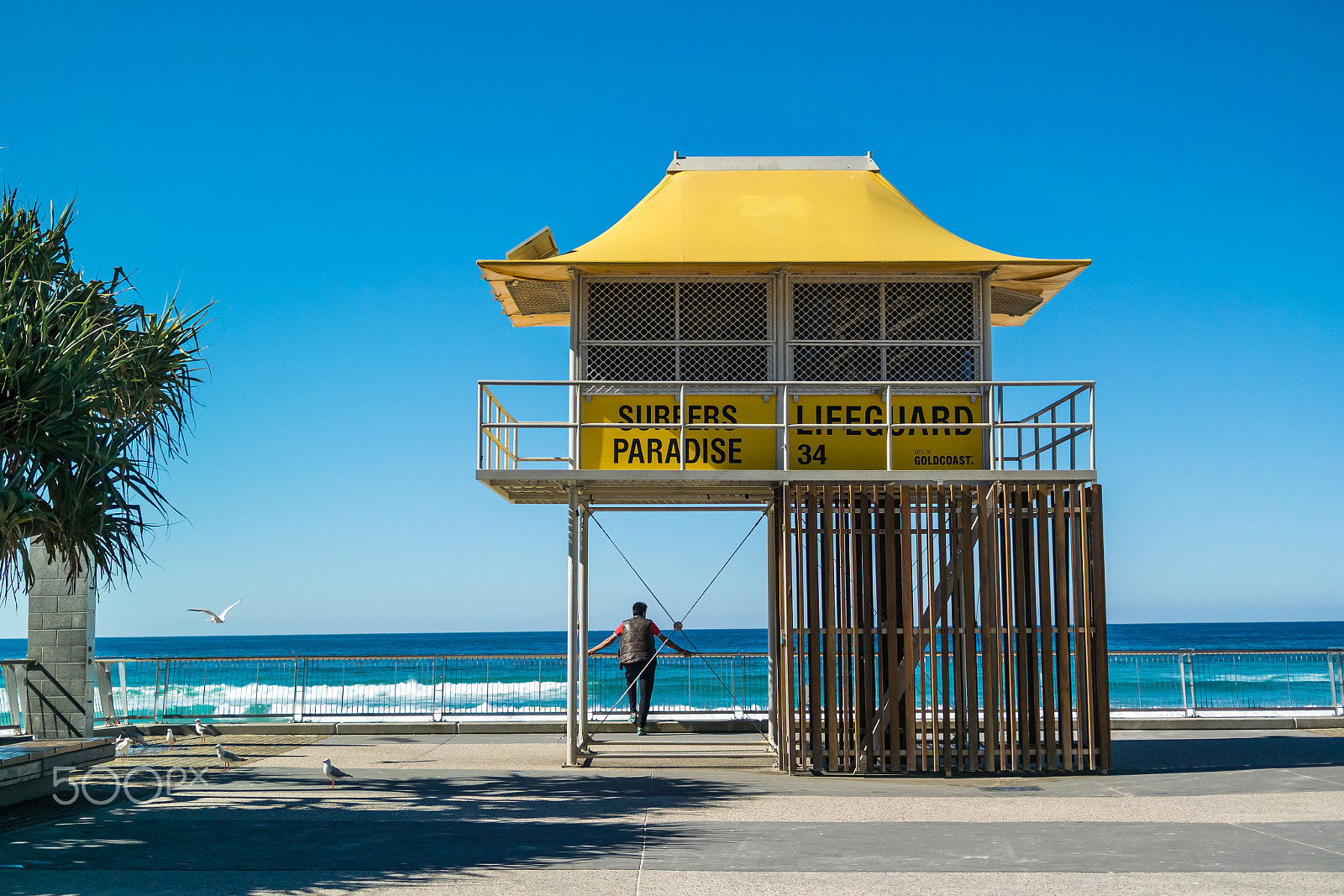 Nikon 1 V3 + Nikon 1 Nikkor 18.5mm F1.8 sample photo. Surfers paradise lifeguard tower photography