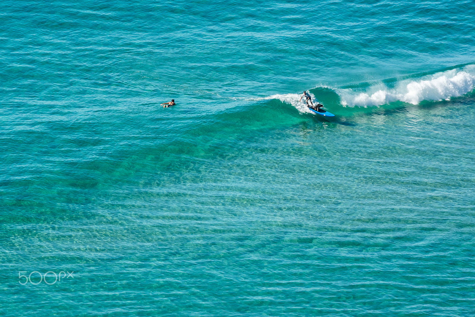 Nikon 1 Nikkor VR 30-110mm F3.8-5.6 sample photo. Paddle board surfer with dog photography