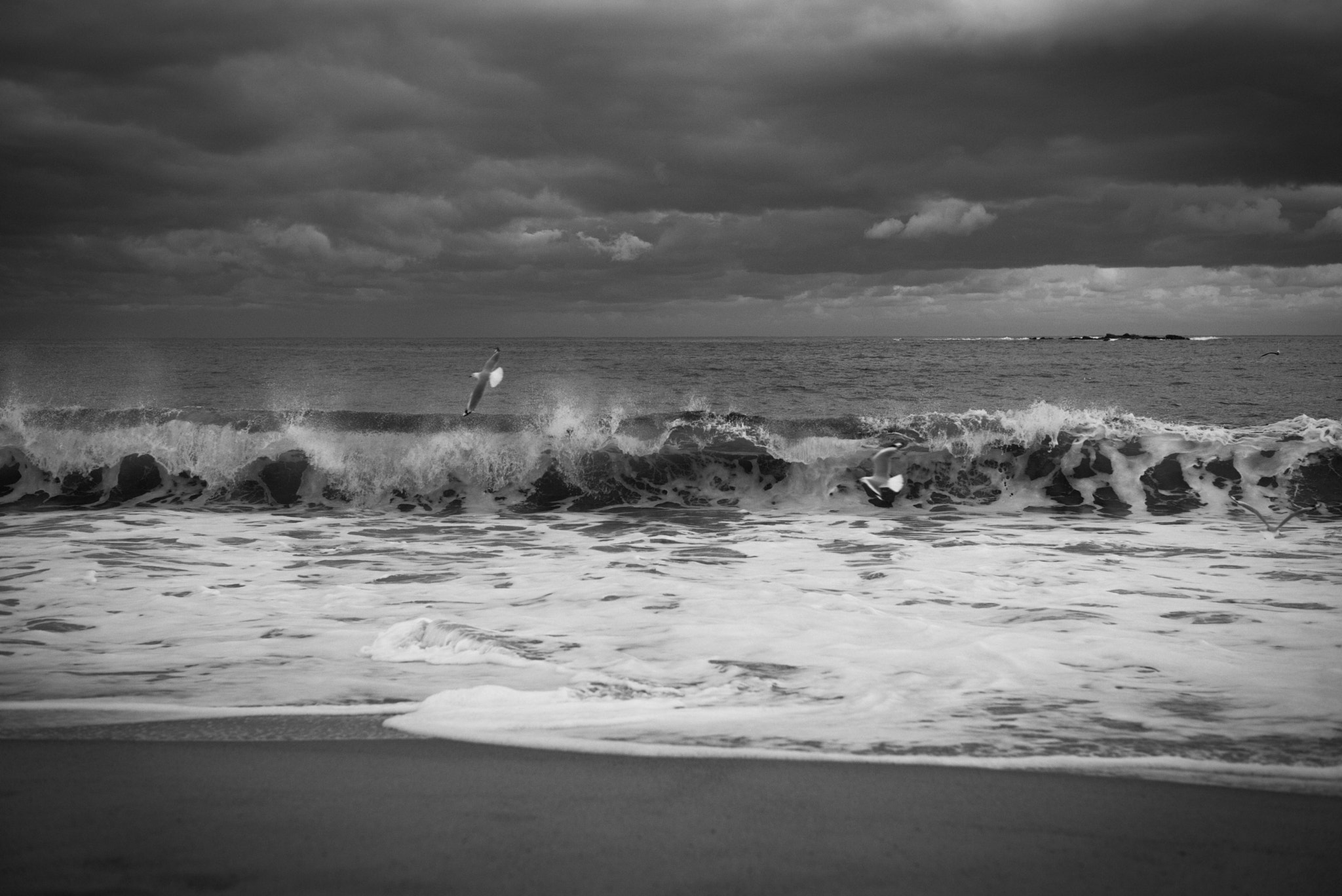 Leica Tri-Elmar-M 16-18-21mm F4 ASPH sample photo. Gliding above the sea photography