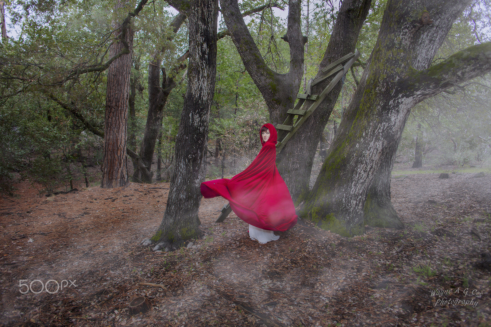 Canon EF 24mm F2.8 sample photo. Little red photography
