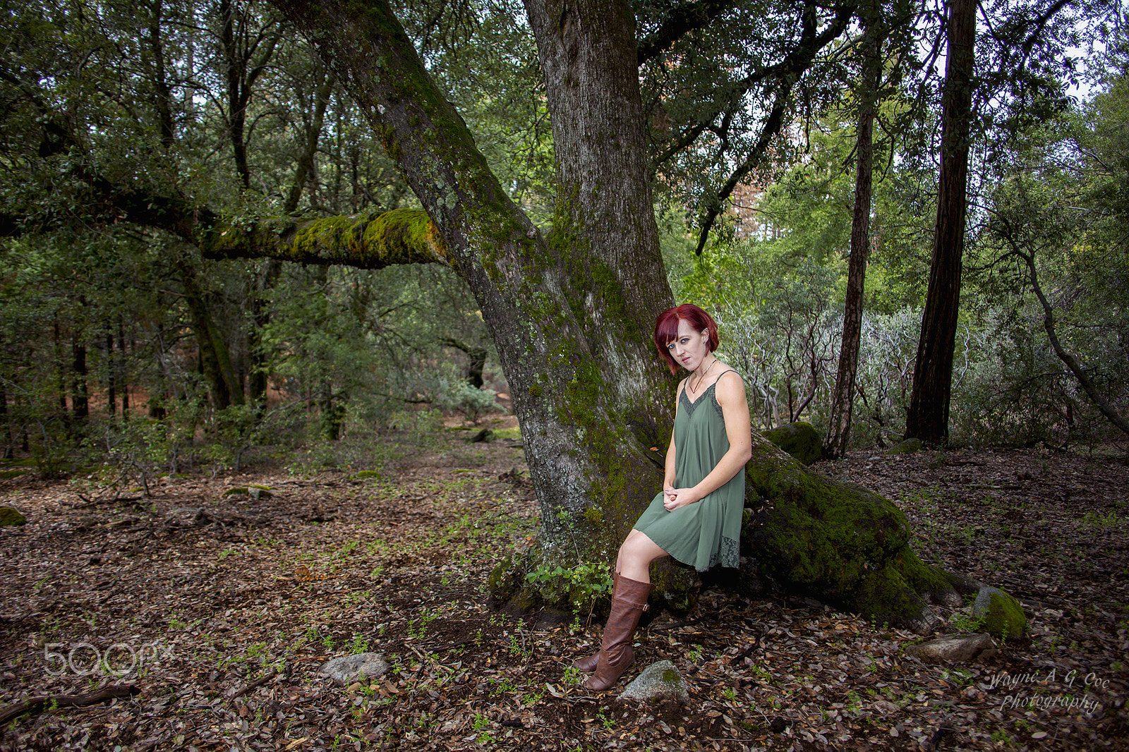 Canon EOS 5D Mark II + Canon EF 24mm F2.8 sample photo. Elven under the oak photography