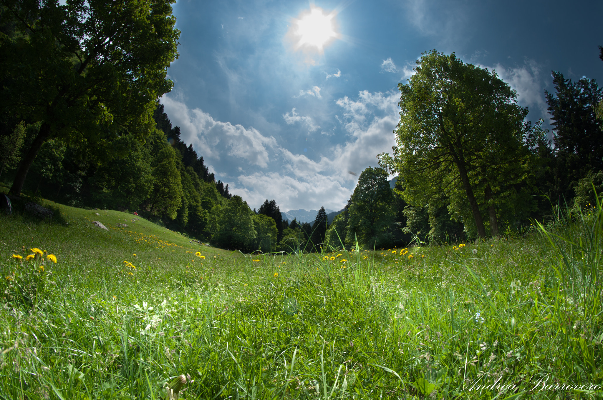 Nikon D5000 + Samyang 8mm F3.5 Aspherical IF MC Fisheye sample photo. Landscape valle pesio photography