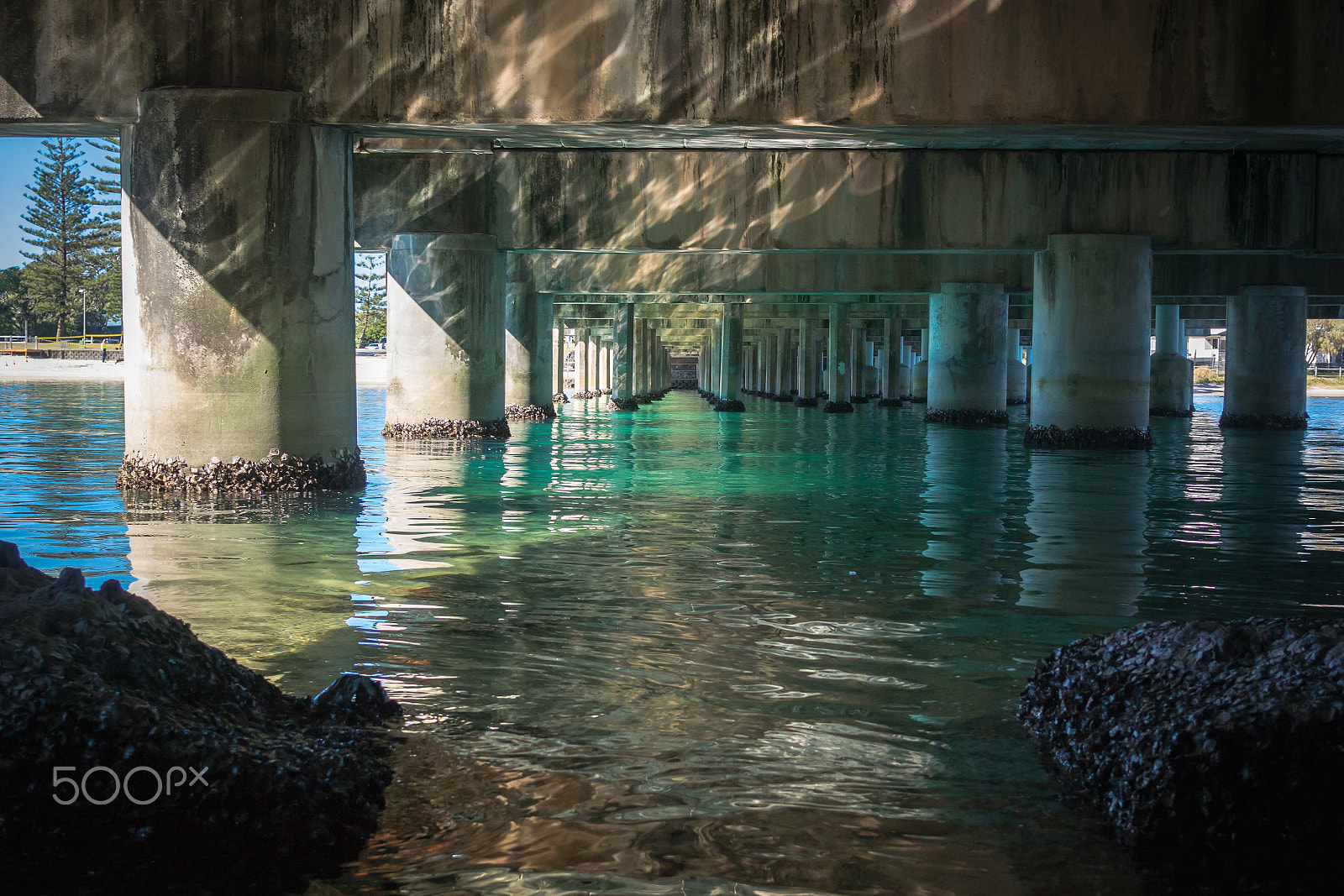 Nikon 1 V3 + Nikon 1 Nikkor 18.5mm F1.8 sample photo. Aqua under the bridge photography