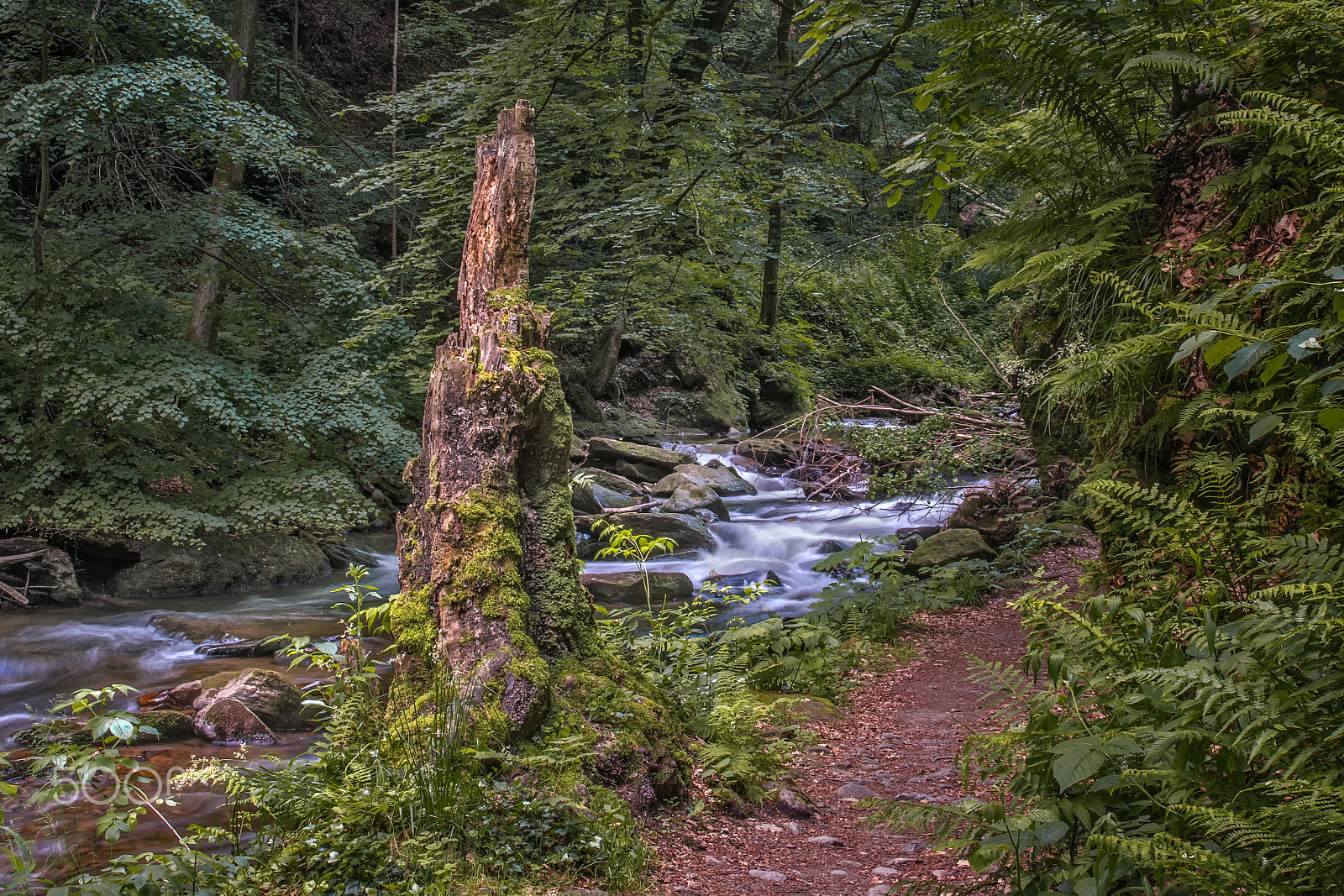 Nikon D500 sample photo. Hike in " klause deutschlandsberg " photography