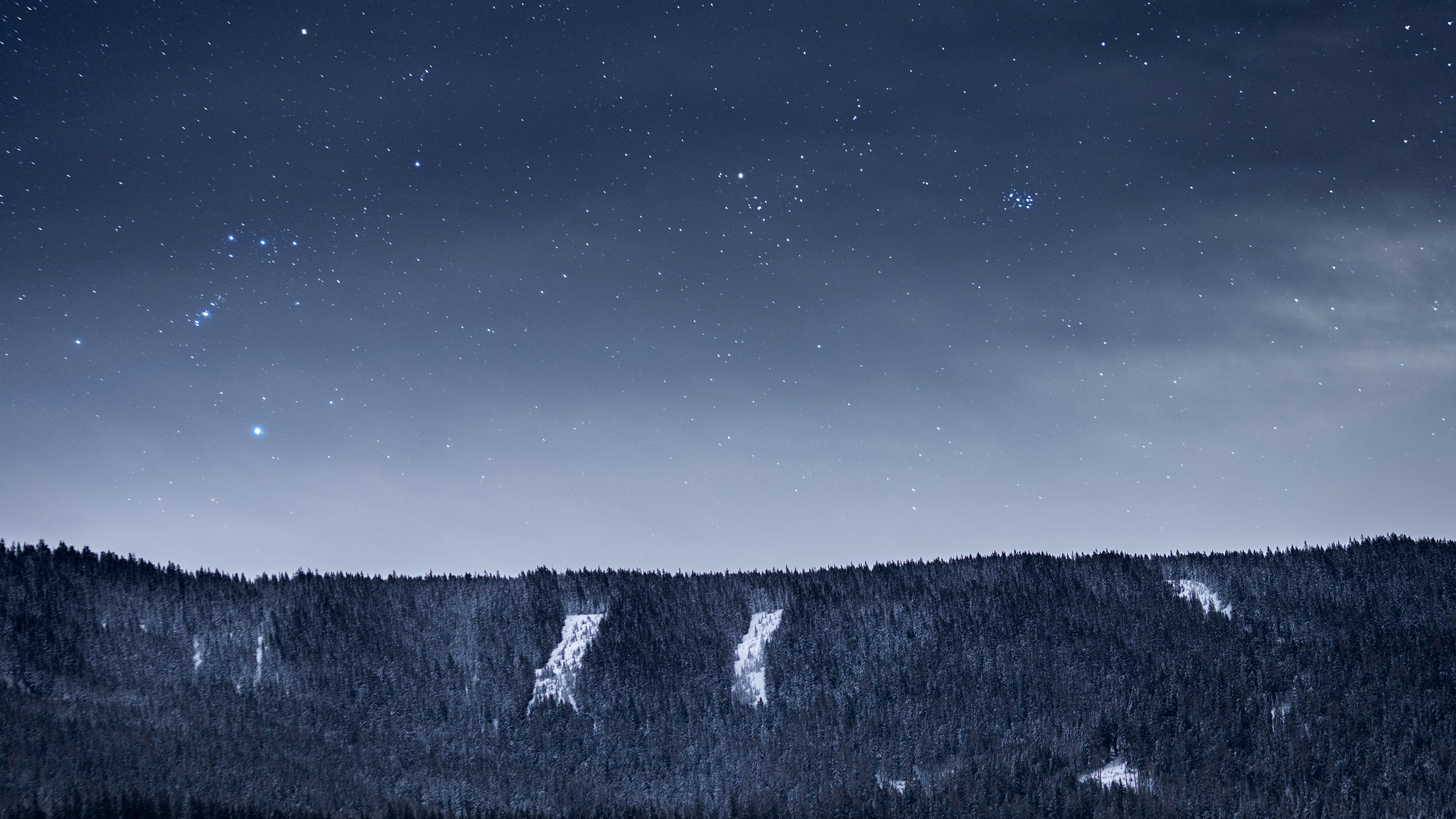 Sigma 70-300mm F4-5.6 DL Macro sample photo. Forest under the stars photography