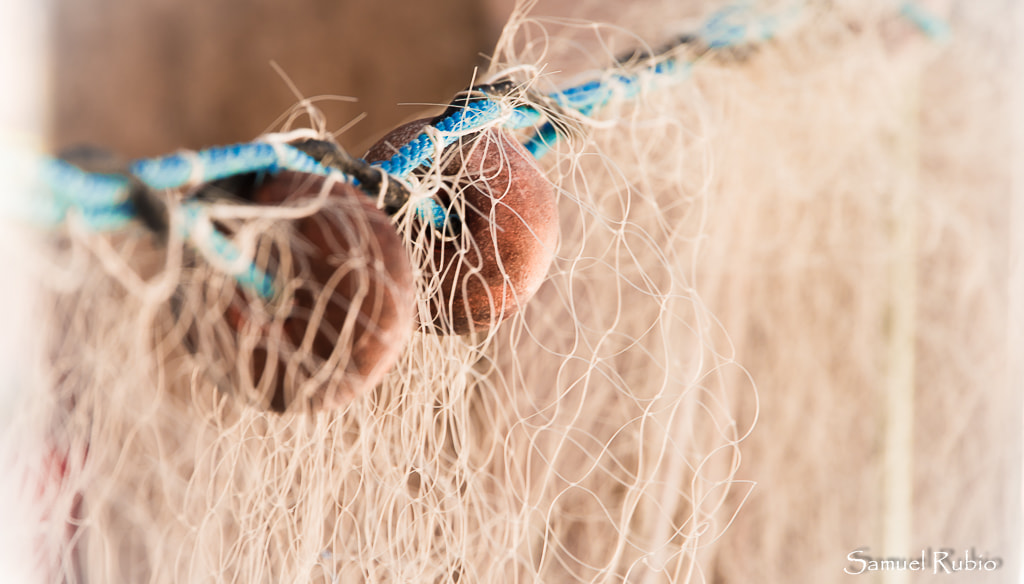Sigma 24-105mm f/4 DG OS HSM | A sample photo. Redes photography