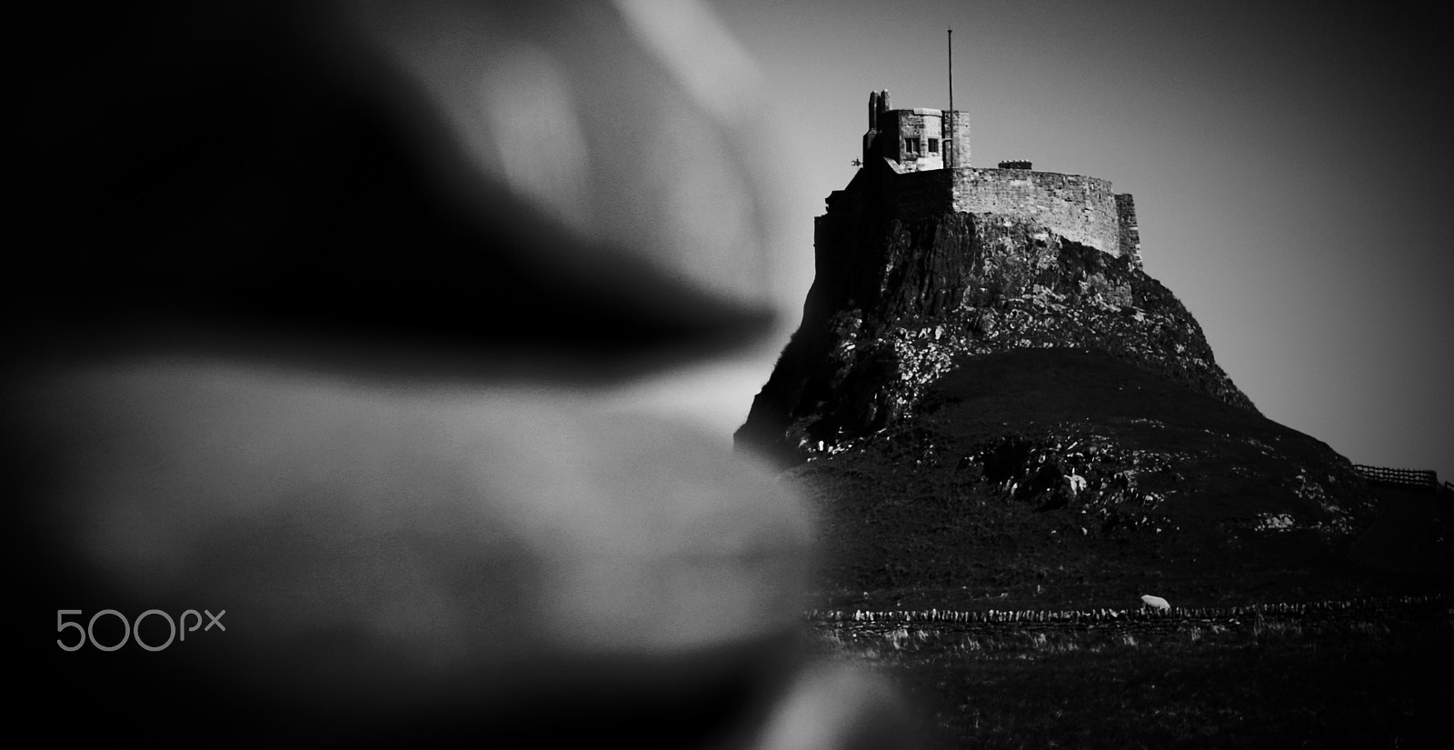 Canon EOS 750D (EOS Rebel T6i / EOS Kiss X8i) + Canon EF 50mm F1.4 USM sample photo. Lindisfarne castle and b&w with wall photography