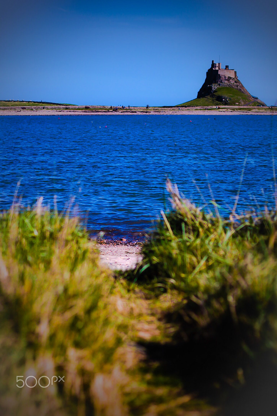 Canon EOS 750D (EOS Rebel T6i / EOS Kiss X8i) + Canon EF 50mm F1.4 USM sample photo. Lindisfarne castle and grass photography