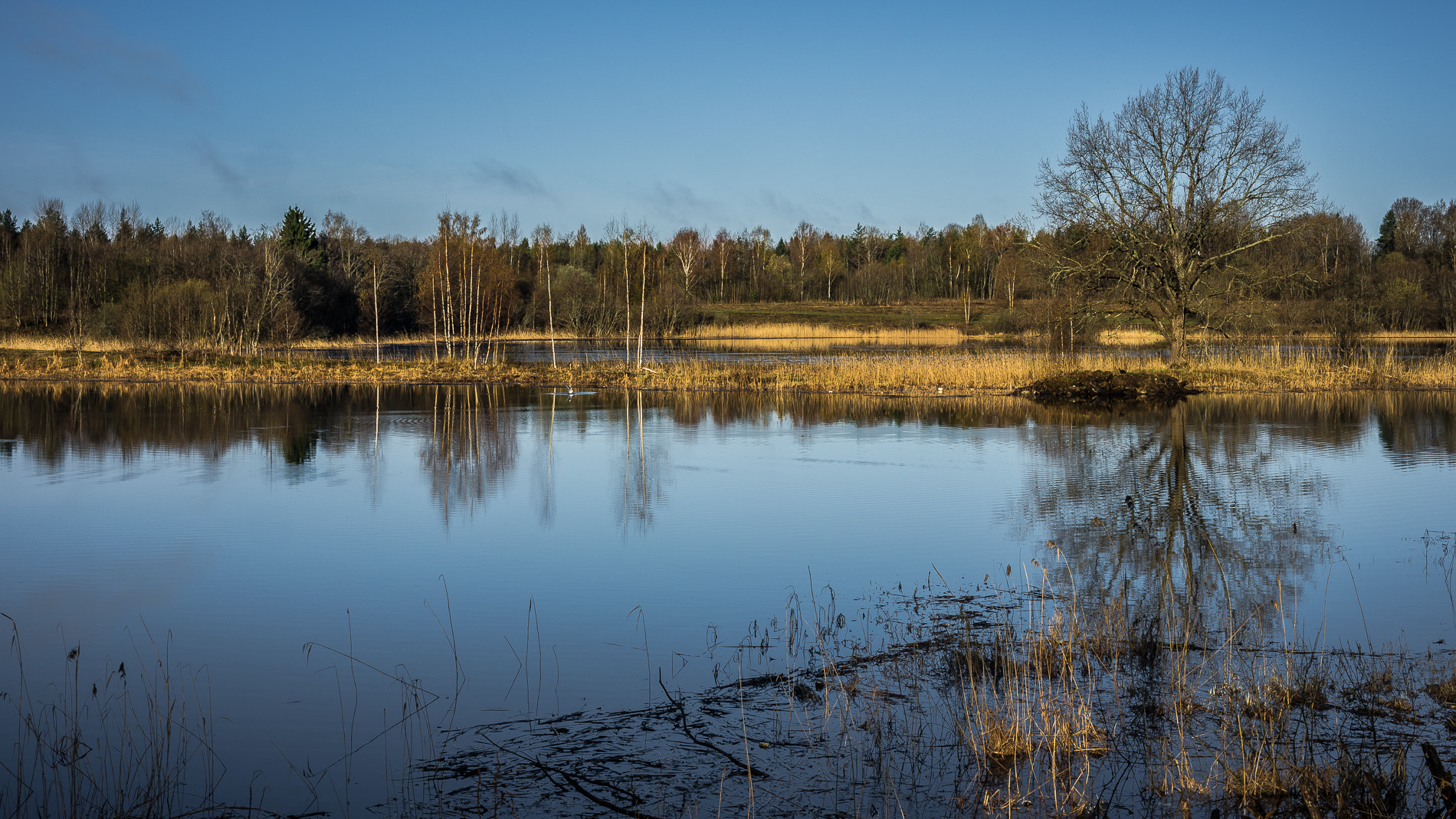 Samsung NX100 + Samsung NX 30mm F2 Pancake sample photo. Spring lake photography