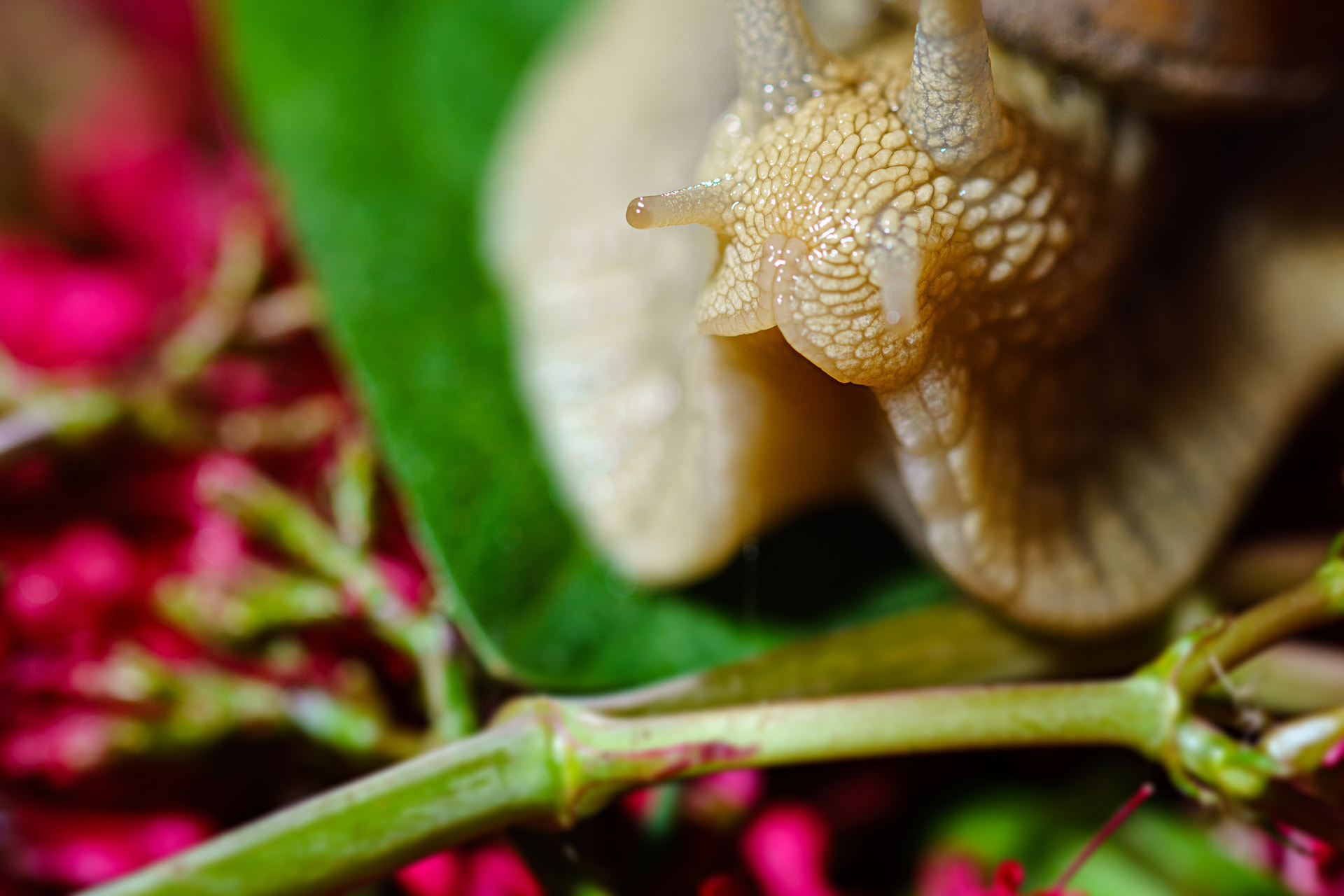 105mm F2.8 sample photo. ... photography