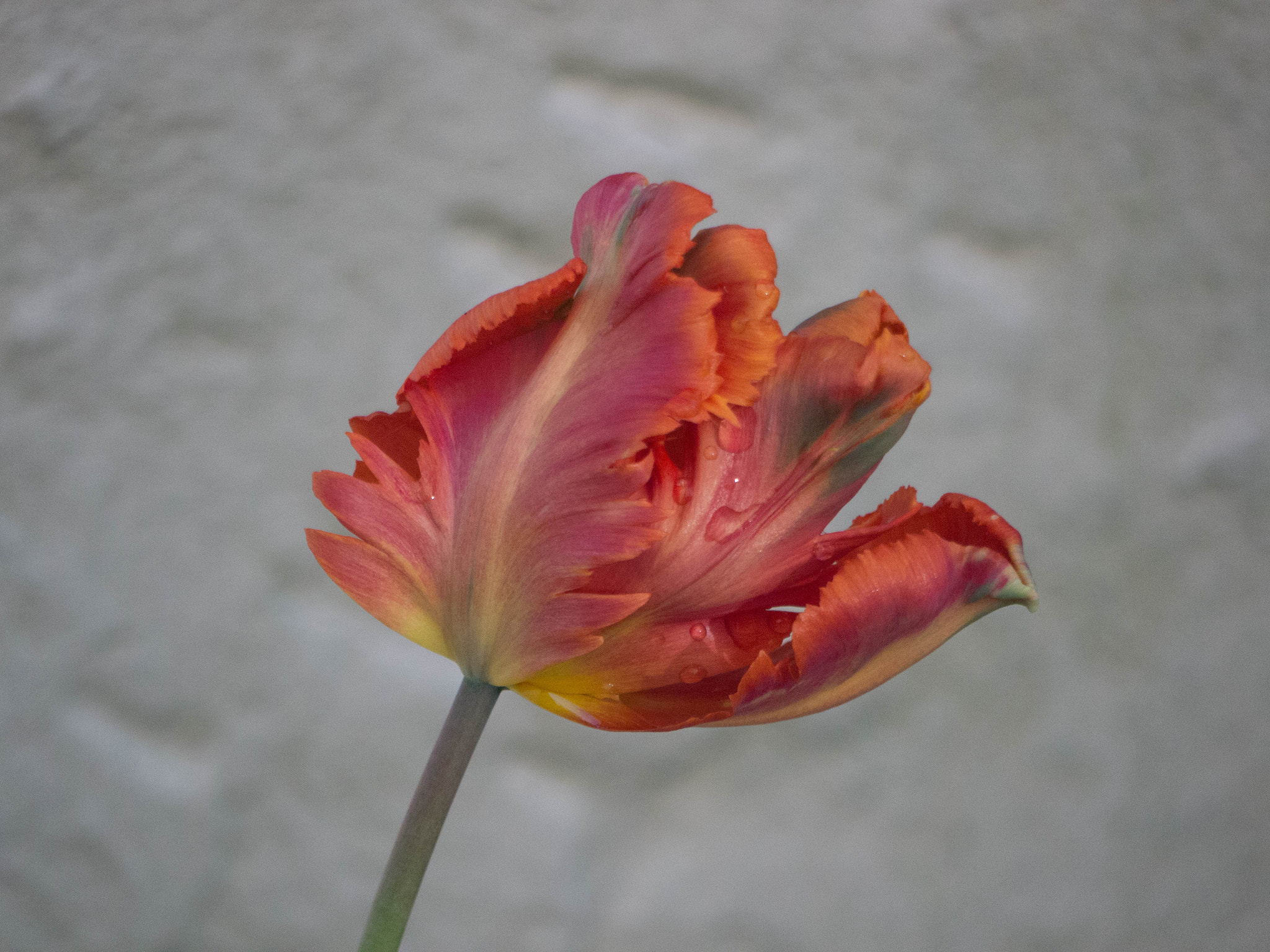 Panasonic Lumix G Vario 45-200mm F4-5.6 OIS sample photo. -1605_glasgow033033.jpg photography