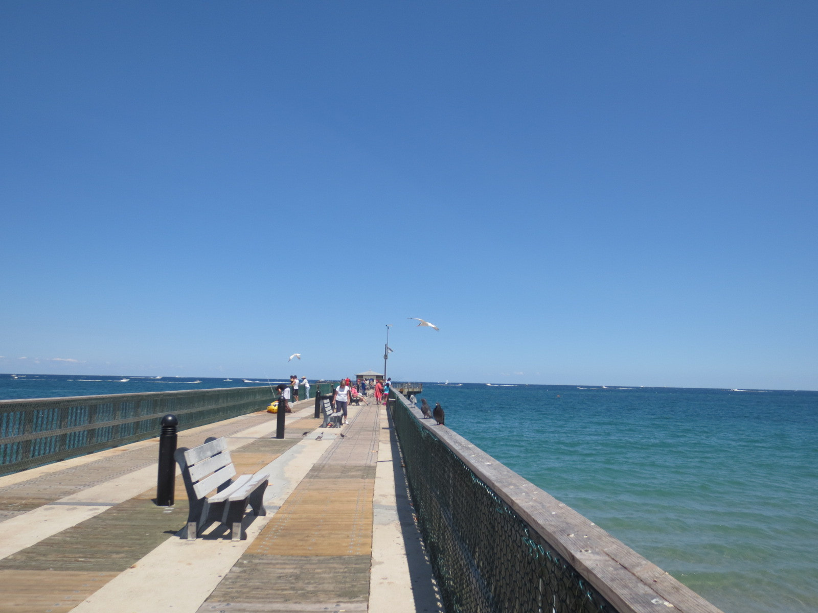 Canon POWERSHOT ELPH 320 HS sample photo. Pier photography