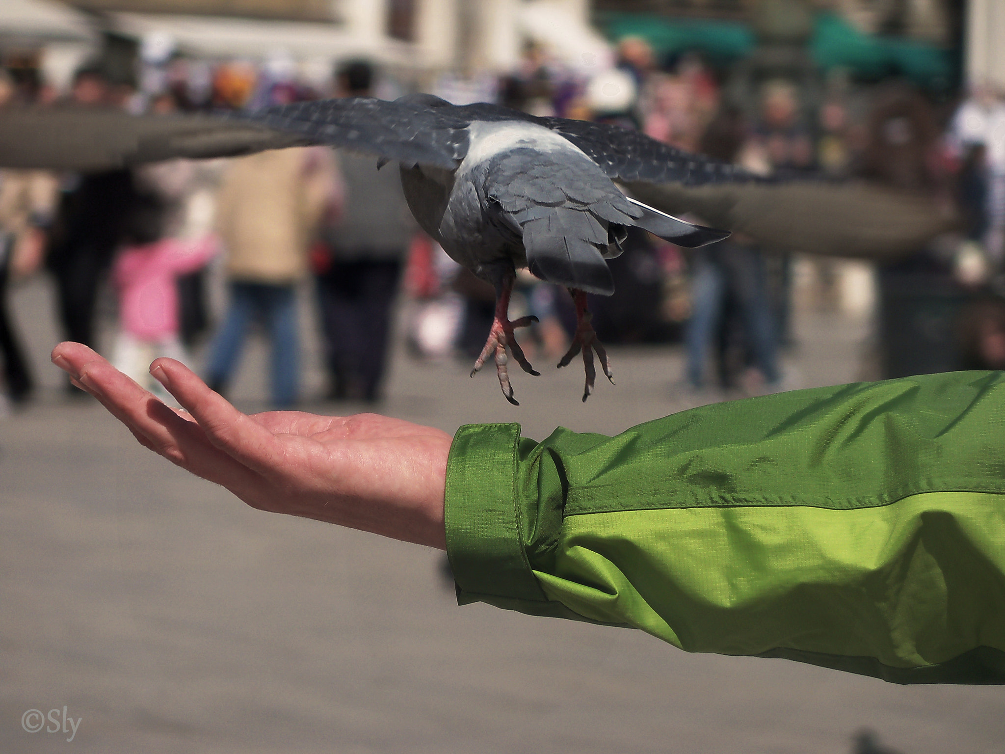 Kodak EasyShare Z915 sample photo. Venise photography