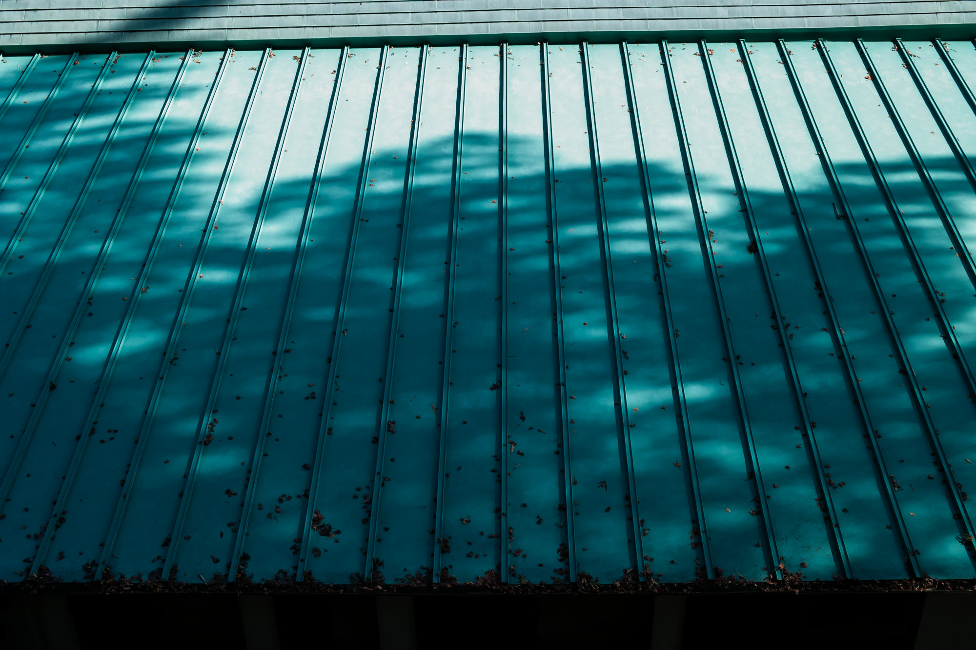 Sigma DP2s sample photo. Light blue photography