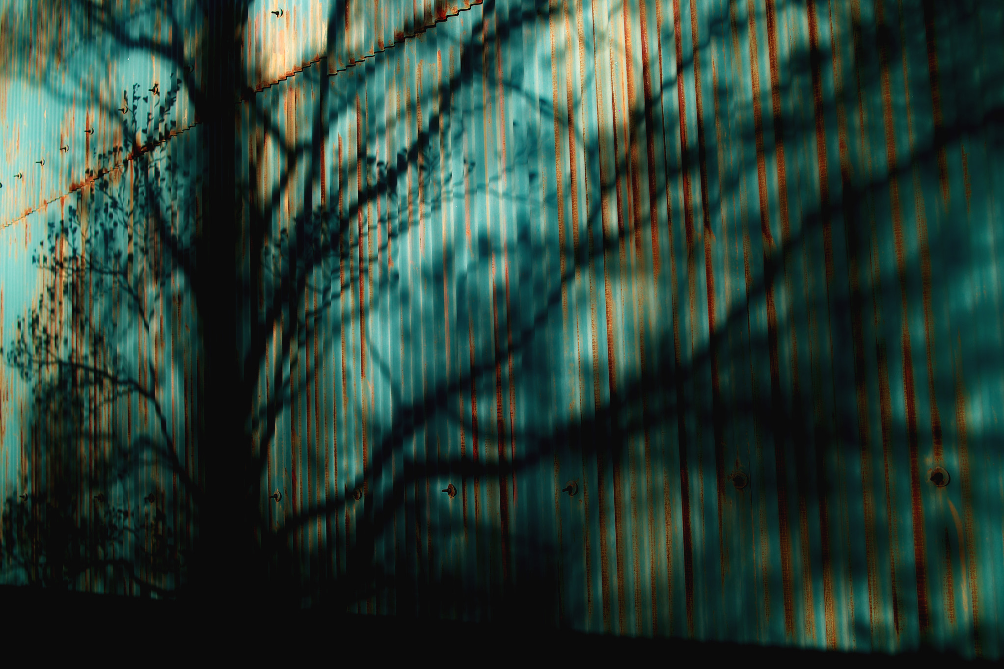 Sigma DP2s sample photo. Shadow picture photography