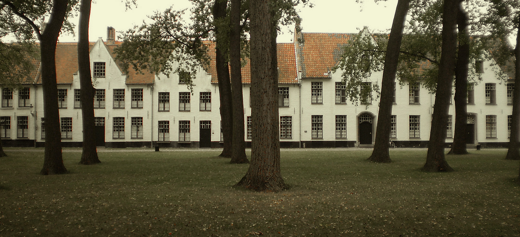 Olympus FE270,X815,C510 sample photo. Brugge. begijnhof photography
