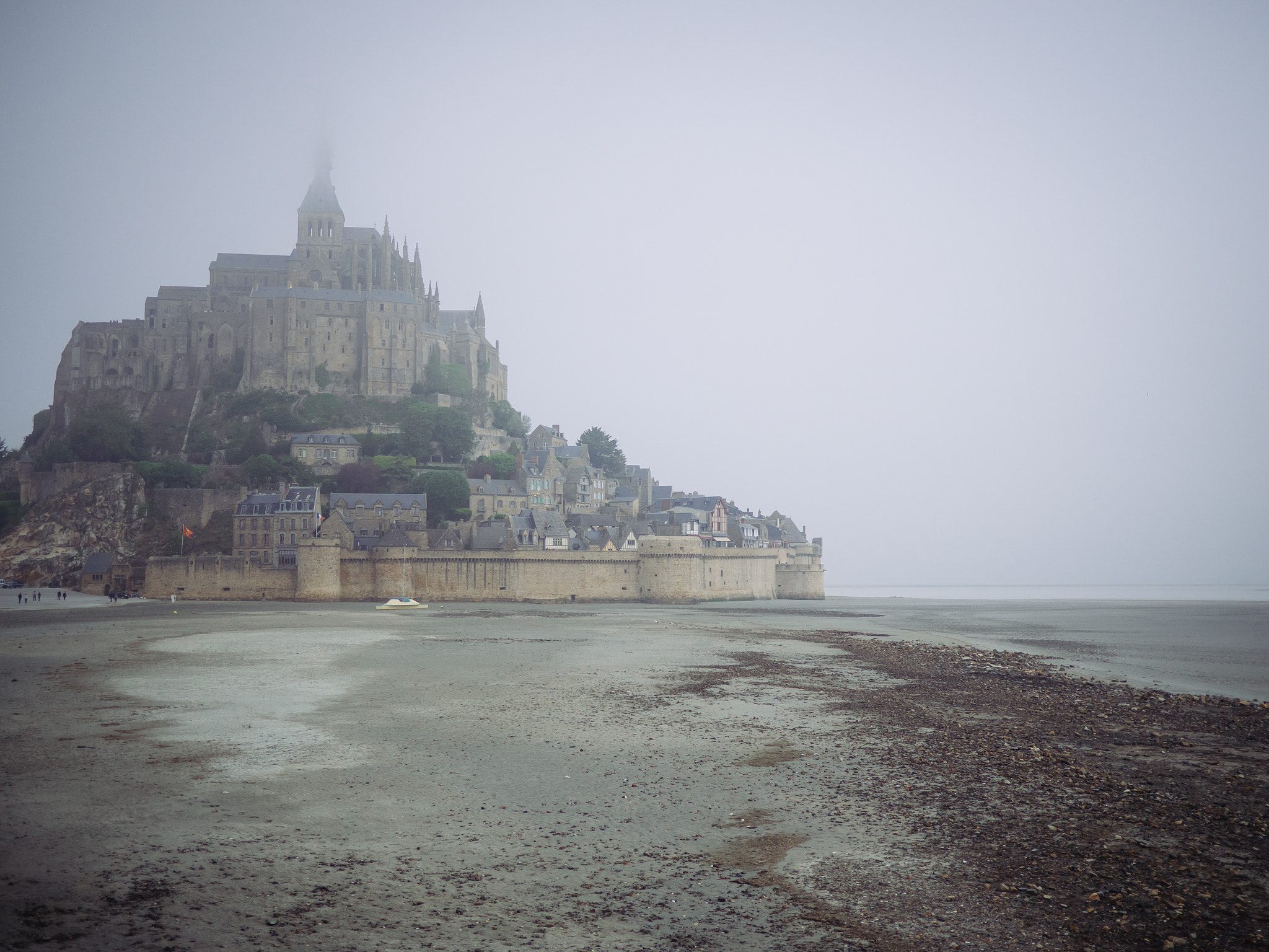 Olympus OM-D E-M1 + LUMIX G 20/F1.7 II sample photo. Misty mount photography