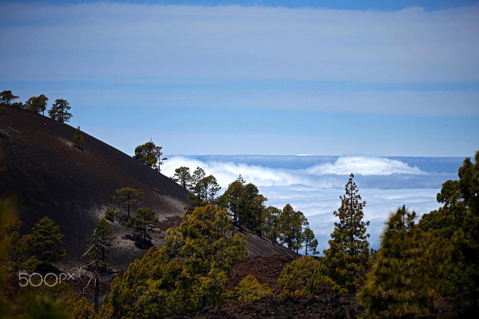 Sony a7 + Sony FE 70-200mm F4 G OSS sample photo. Ocean of clouds #2 photography
