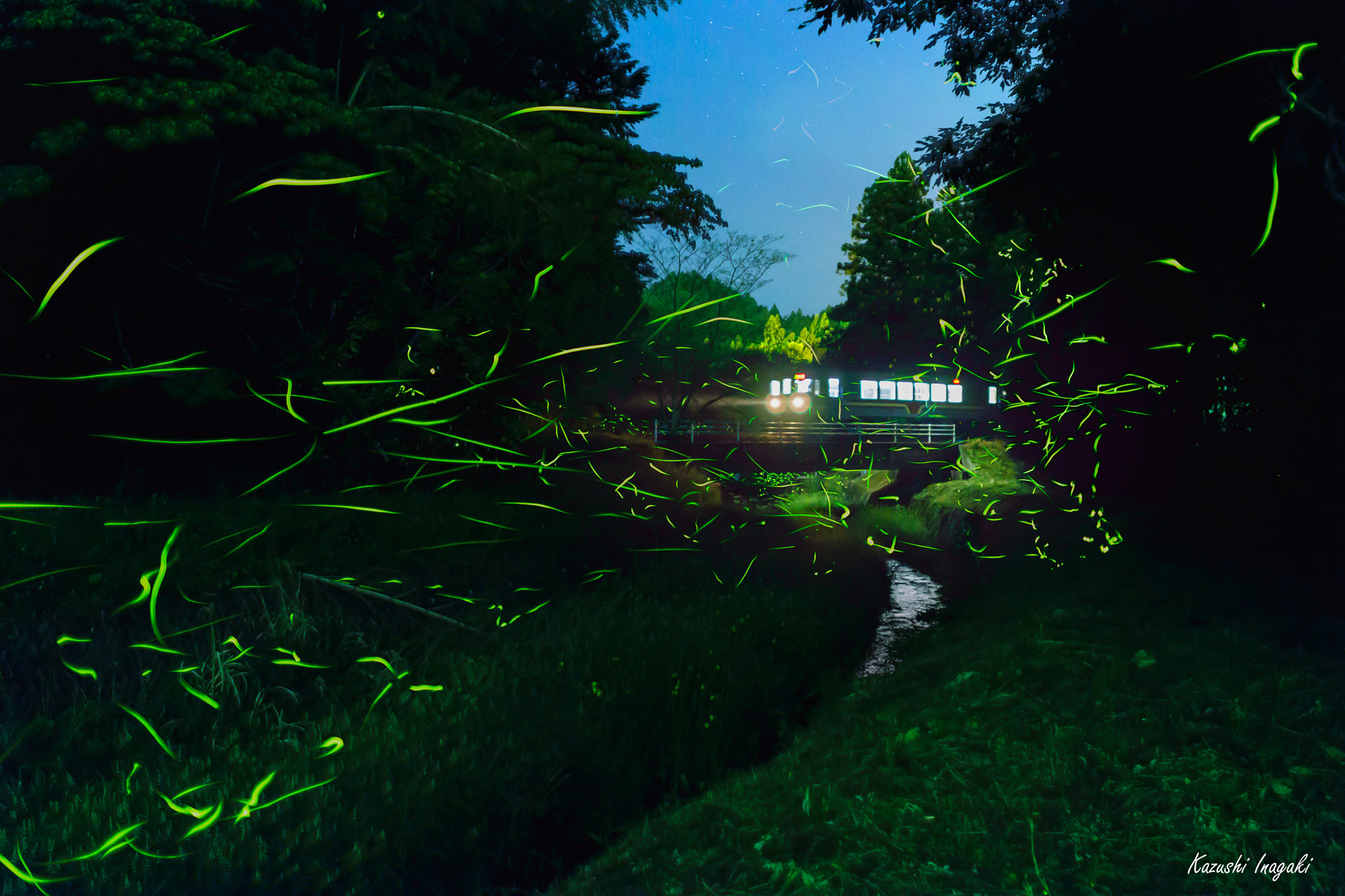 Sony 35mm F1.4 G sample photo. 夢列車 photography