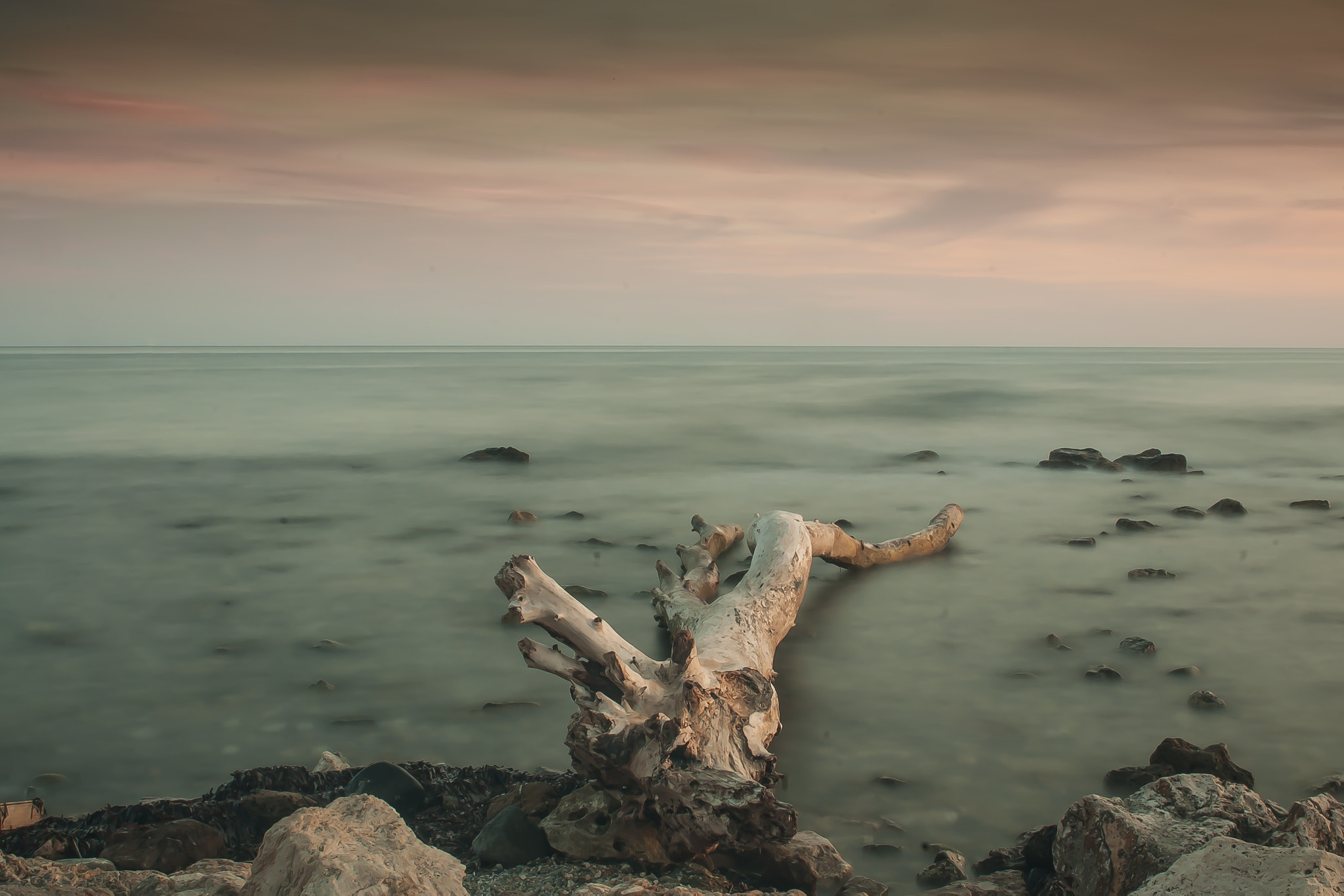 Nikon AF-S Nikkor 28-70mm F2.8 ED-IF sample photo. Dead tree in the sea photography