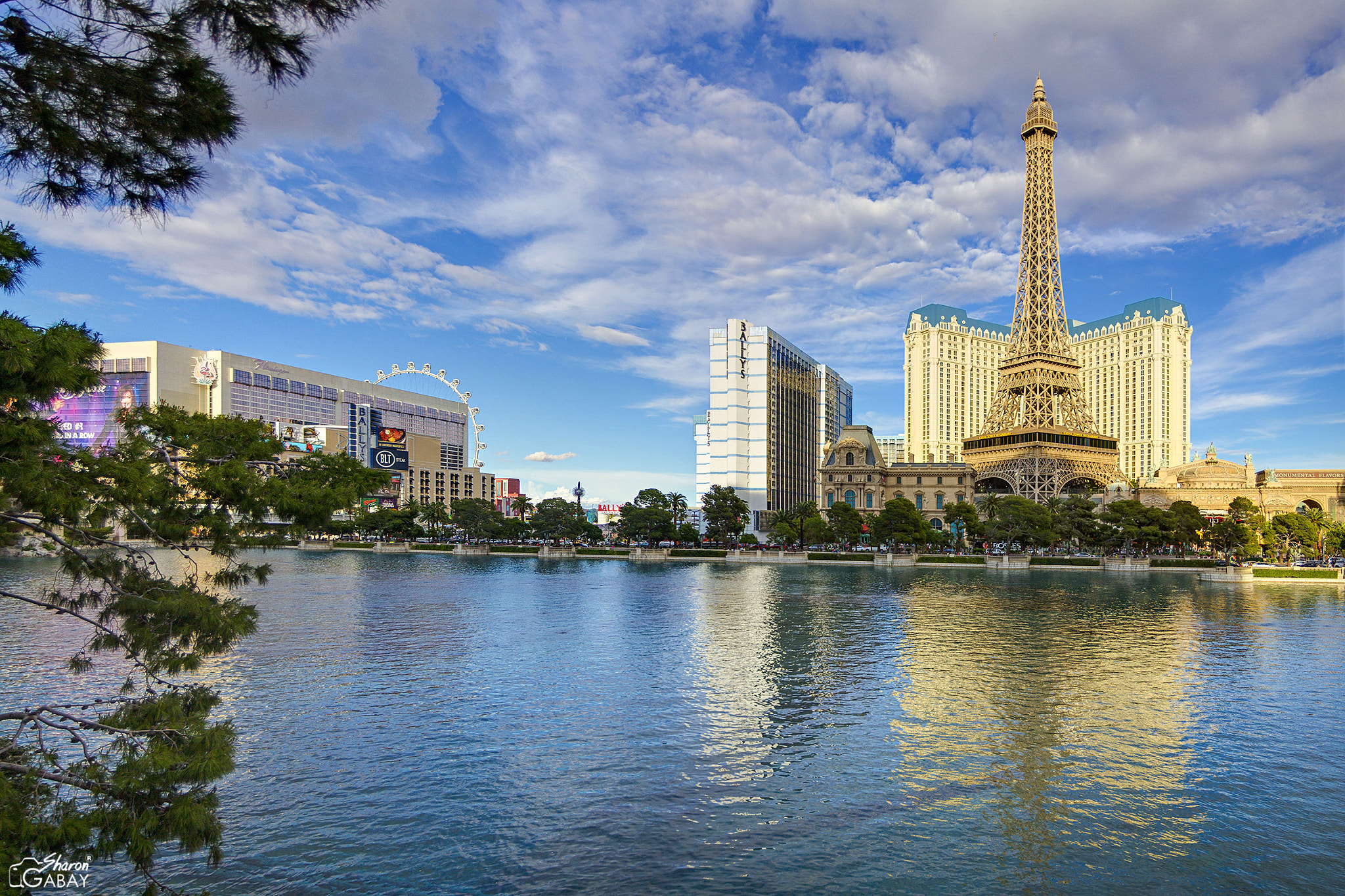 Canon EF-S 17-55mm F2.8 IS USM sample photo. Vegas! photography