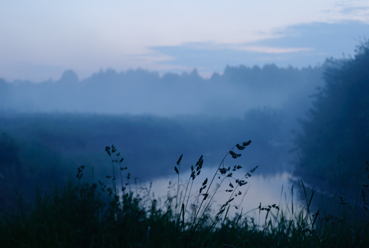 Nikon D60 sample photo. Evening fog photography