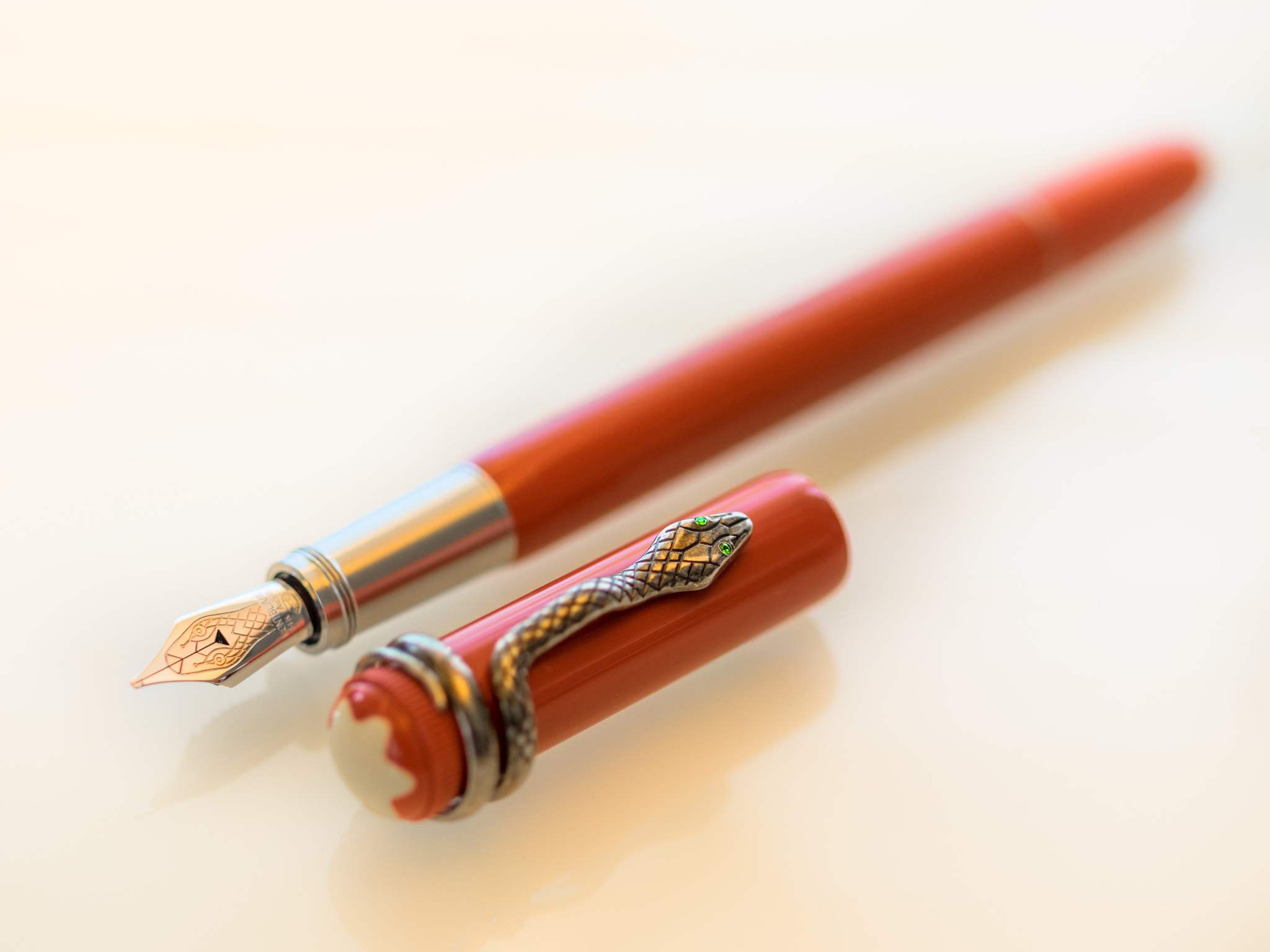 Olympus OM-D E-M1 + OLYMPUS 50mm Lens sample photo. Fountain pen lovers photography