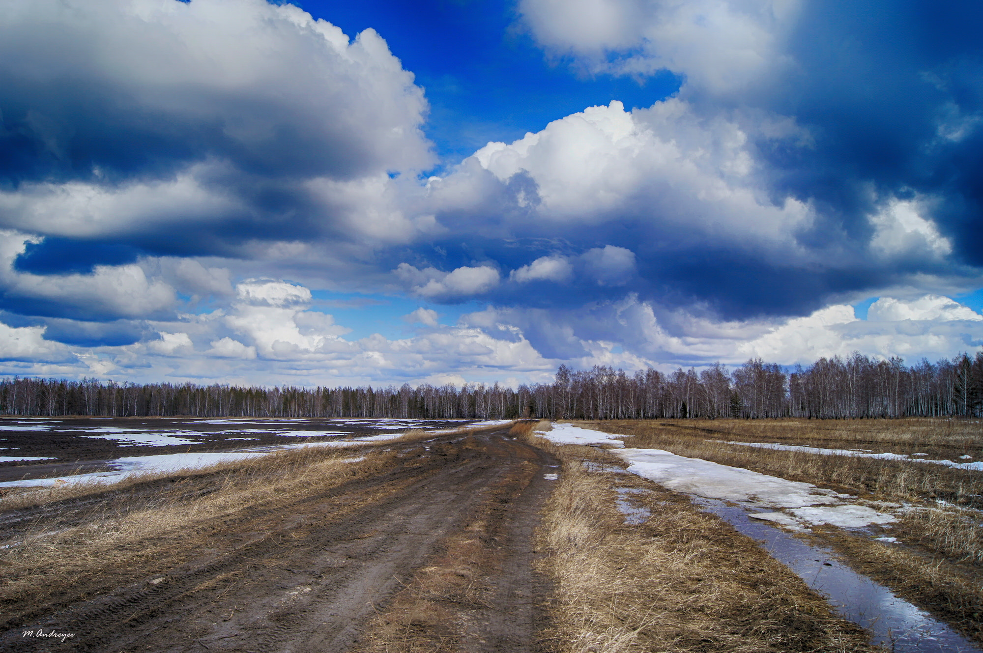 Sony Alpha DSLR-A580 sample photo. The road through the field photography