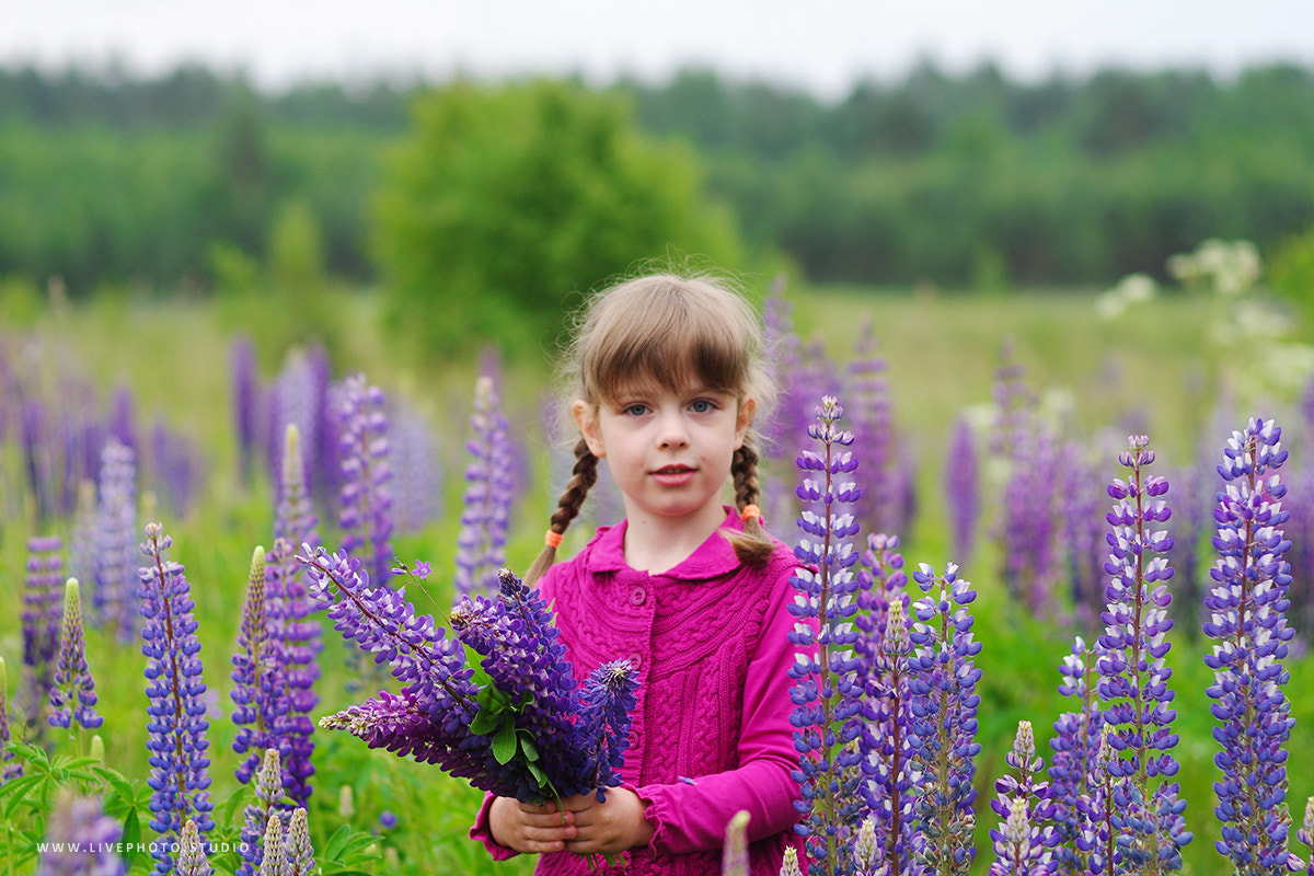 Pentax K-30 + Pentax smc FA 77mm 1.8 Limited sample photo. Lupins photography